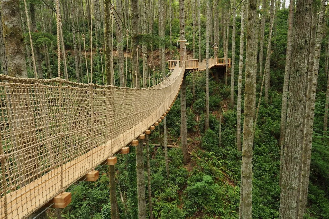 Gallagher.website - 9.jpeg