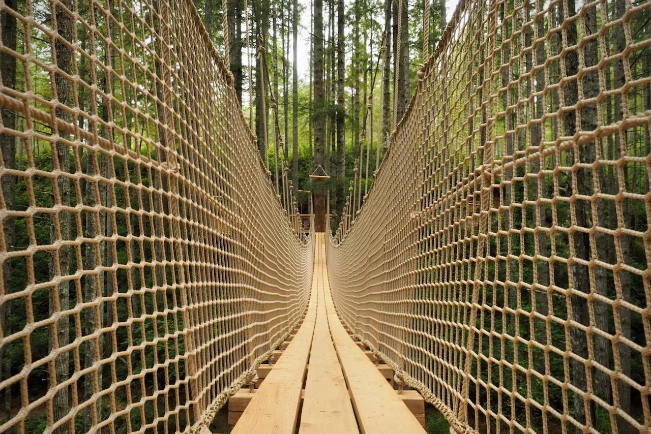 Gallagher.website - 10.jpeg