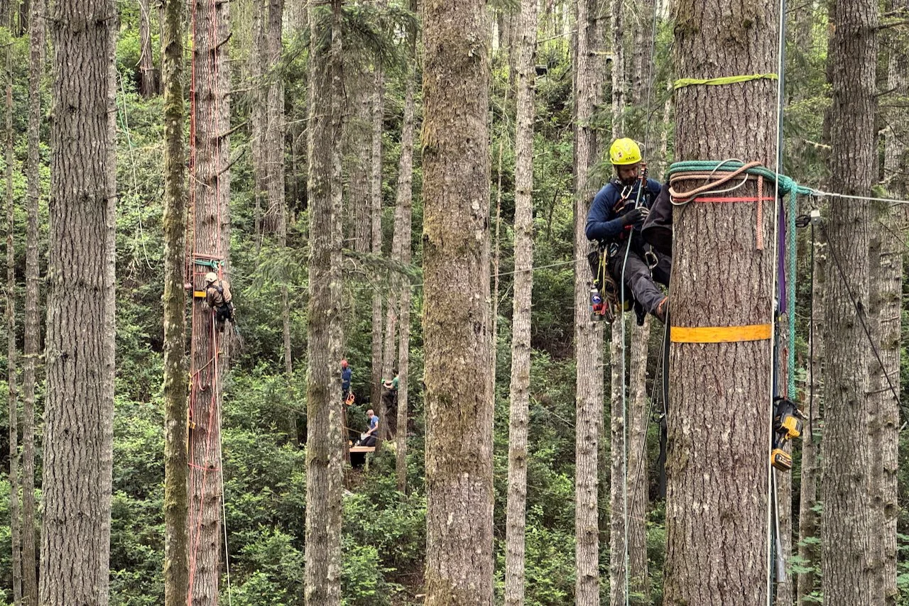 Gallagher.website - 11.jpeg