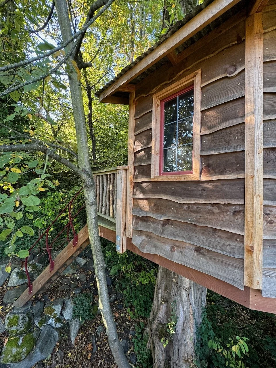 WTW.kids.treehouses - 29.jpeg