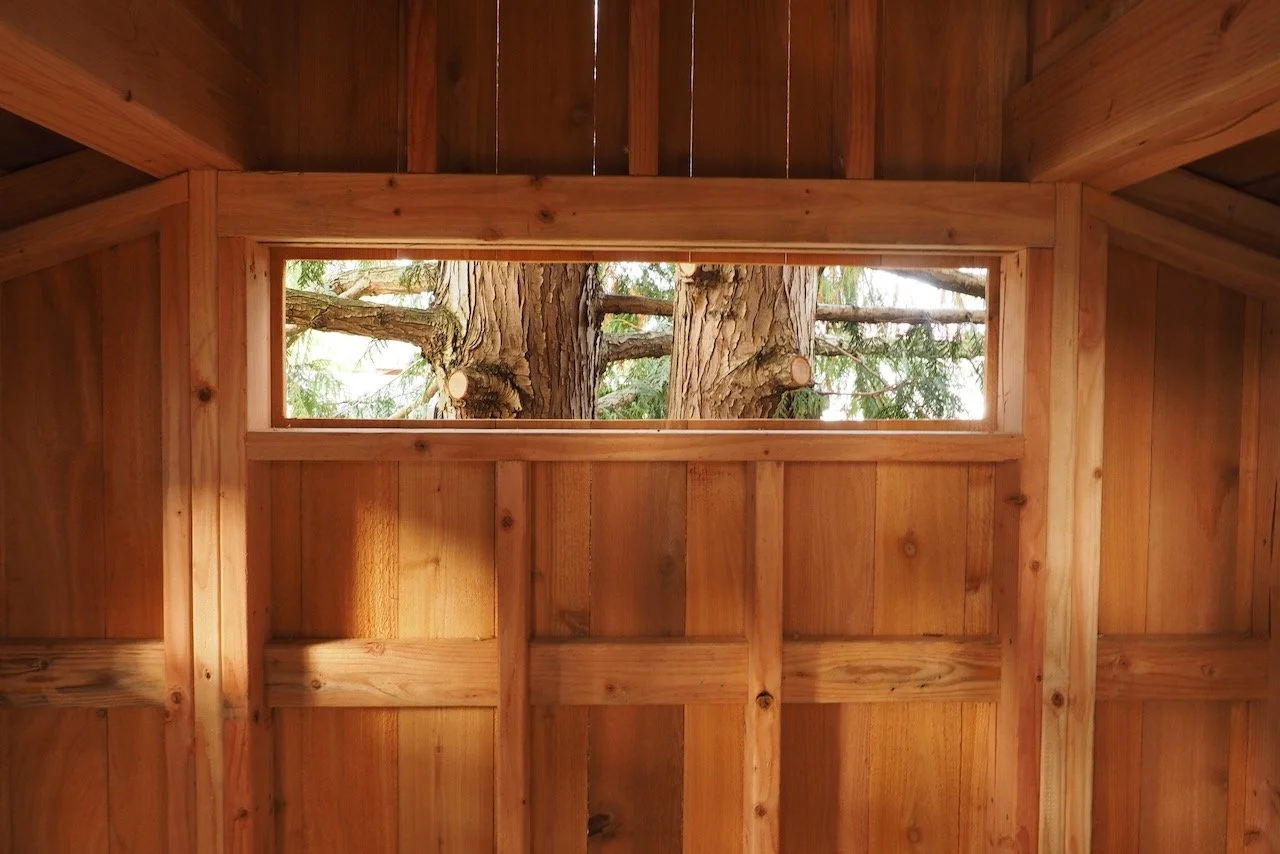 WTW.kids.treehouses - 39.jpeg