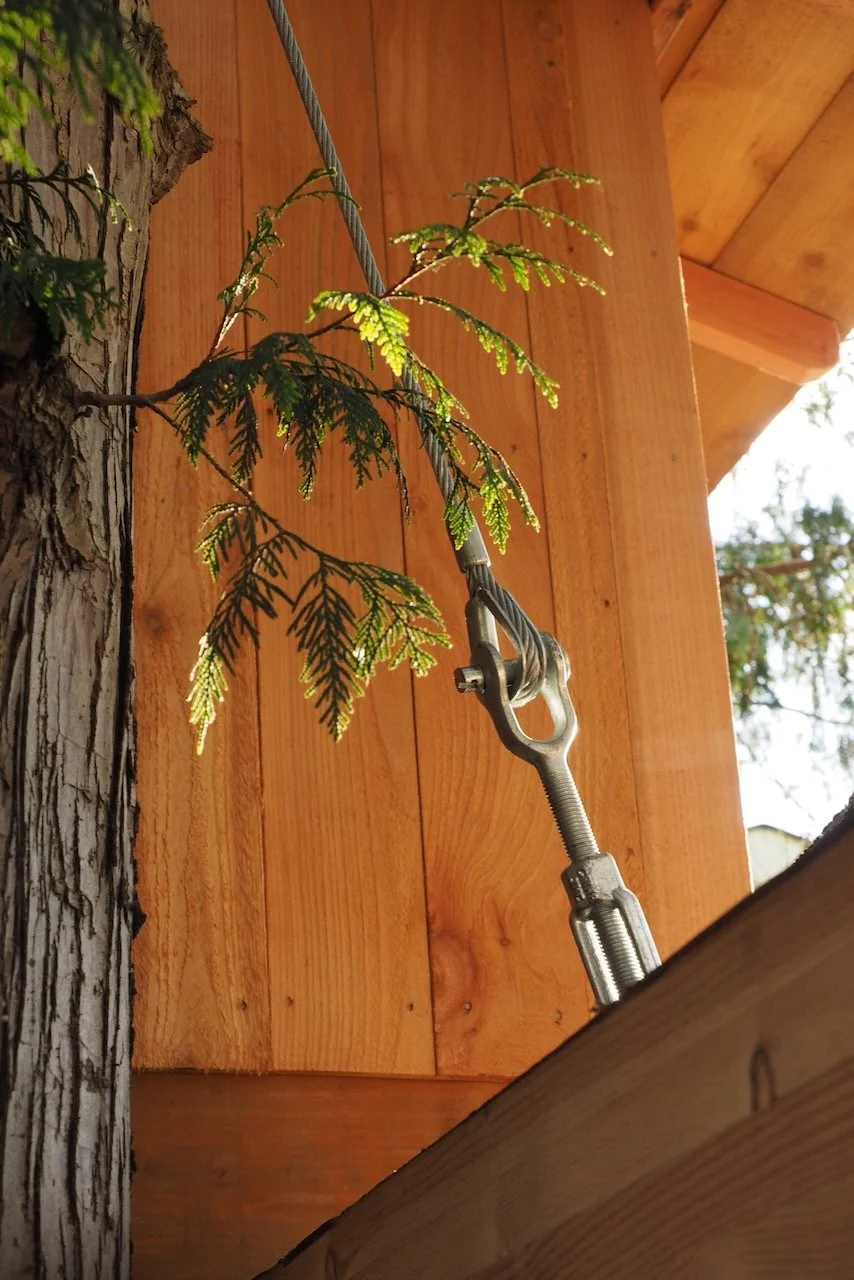 WTW.kids.treehouses - 40.jpeg