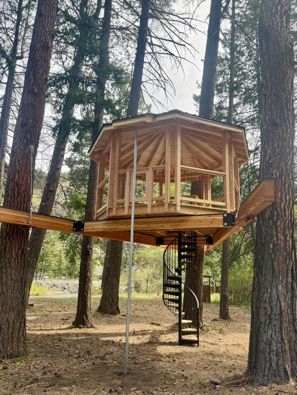 WTW.kids.treehouses - 46.jpeg