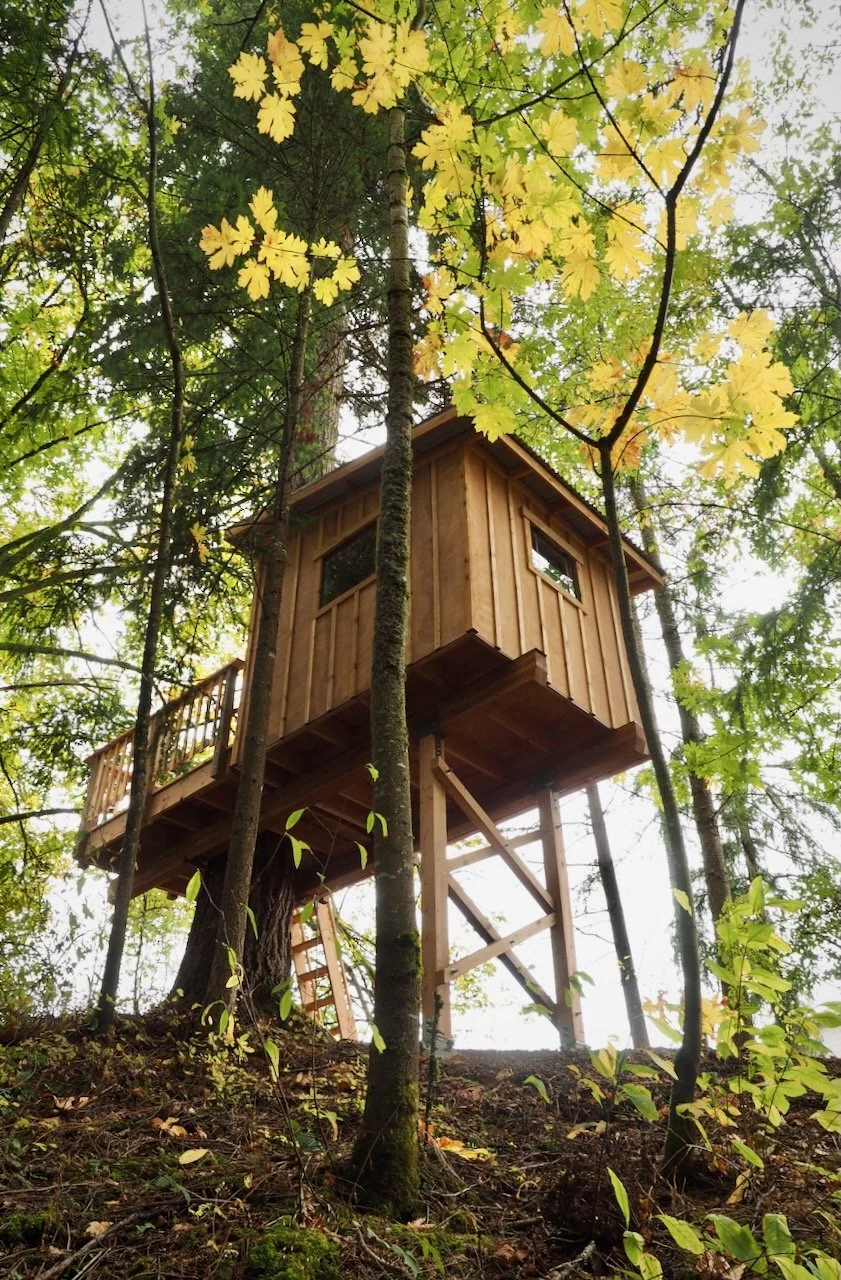 WTW.kids.treehouses - 48.jpeg