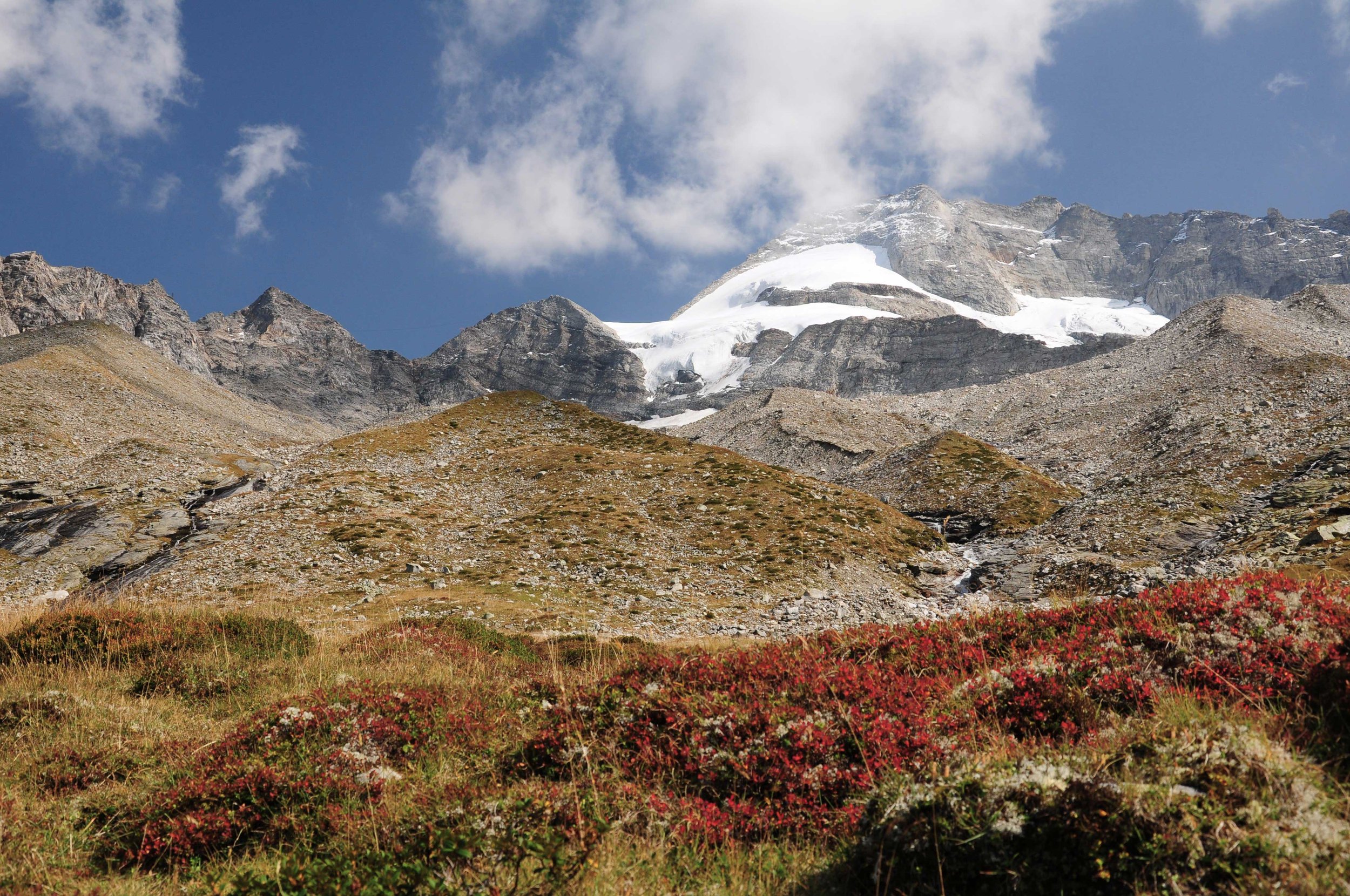 Alpenglühen aufgetischt
