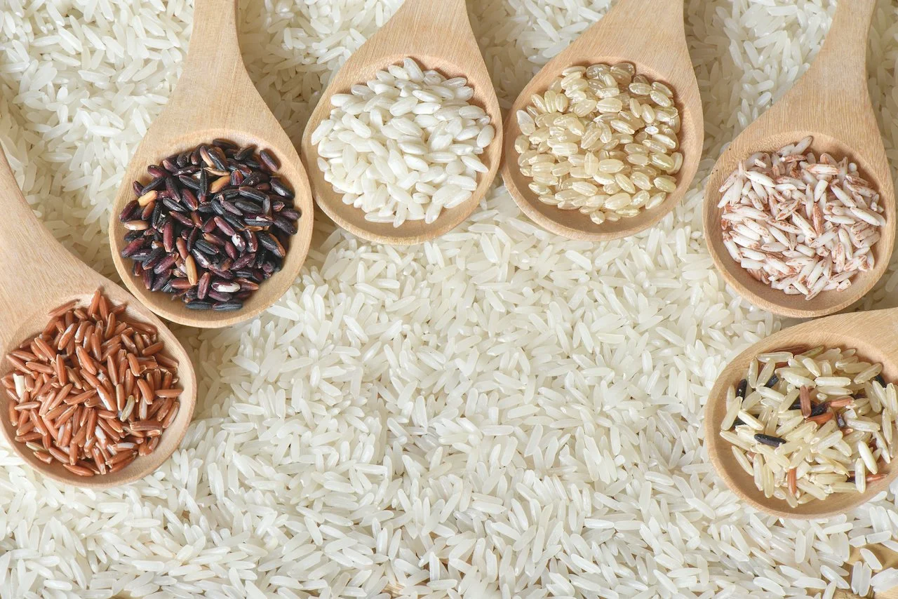 Wissenswertes über Reis als Heilpflanze — GESUND & LEBEN