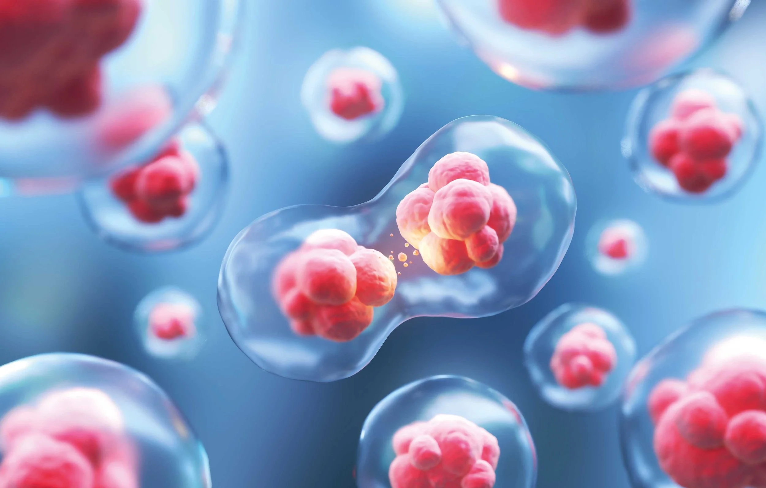 Der Zellcode des Alterns