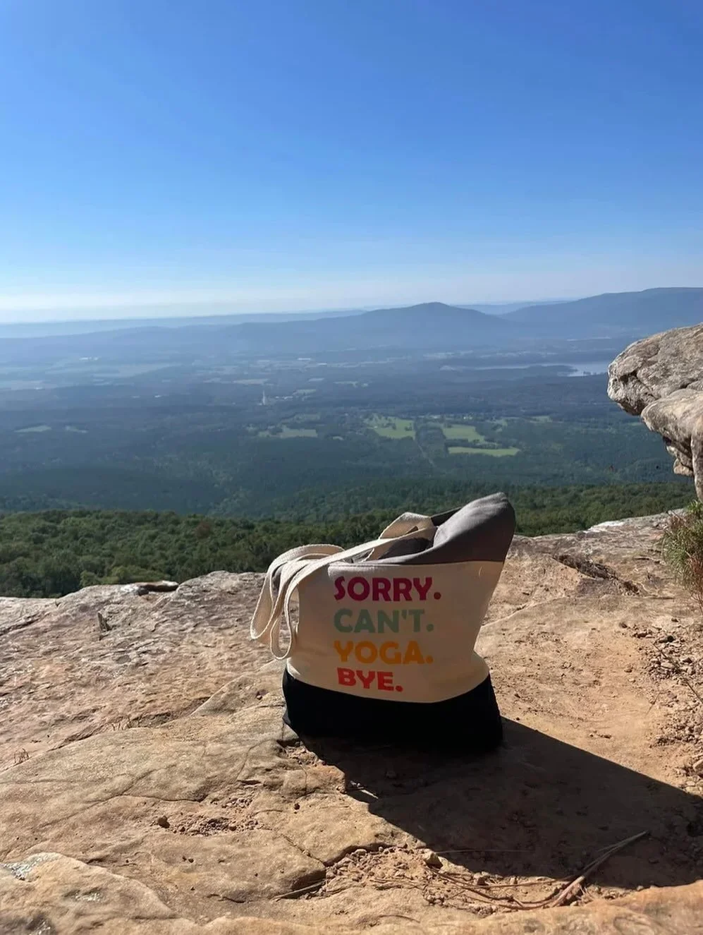 3 weeks until this is the mood. Who&rsquo;s ready? Comment and let us know!

#yogaonthemountain #YOTM2025 #yogafestival #arkansasyoga