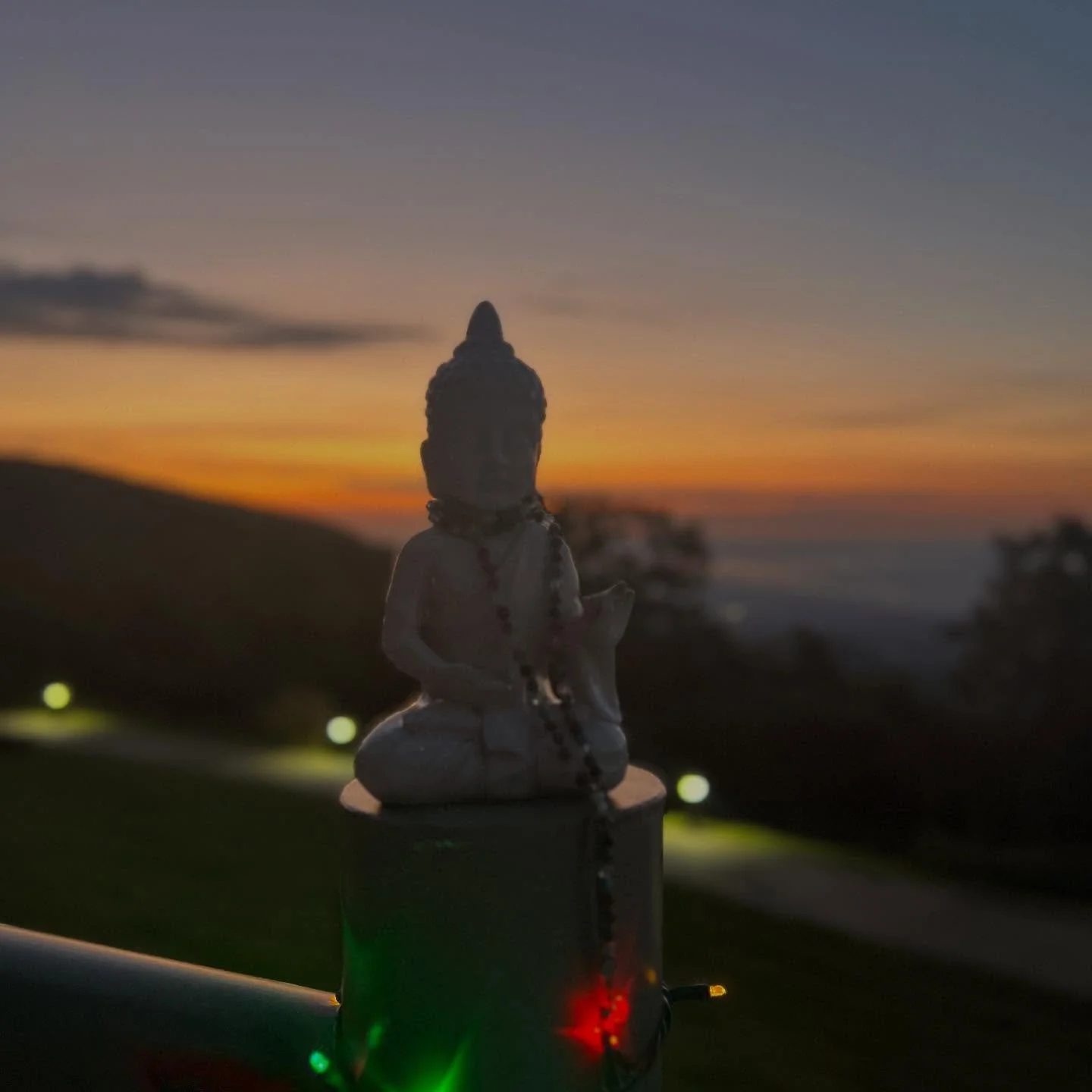 Good morning from the mountain ☀️. Share with us in the comments - what is your intention for the day?