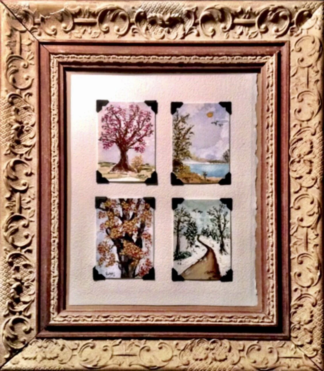 Seasons of Life