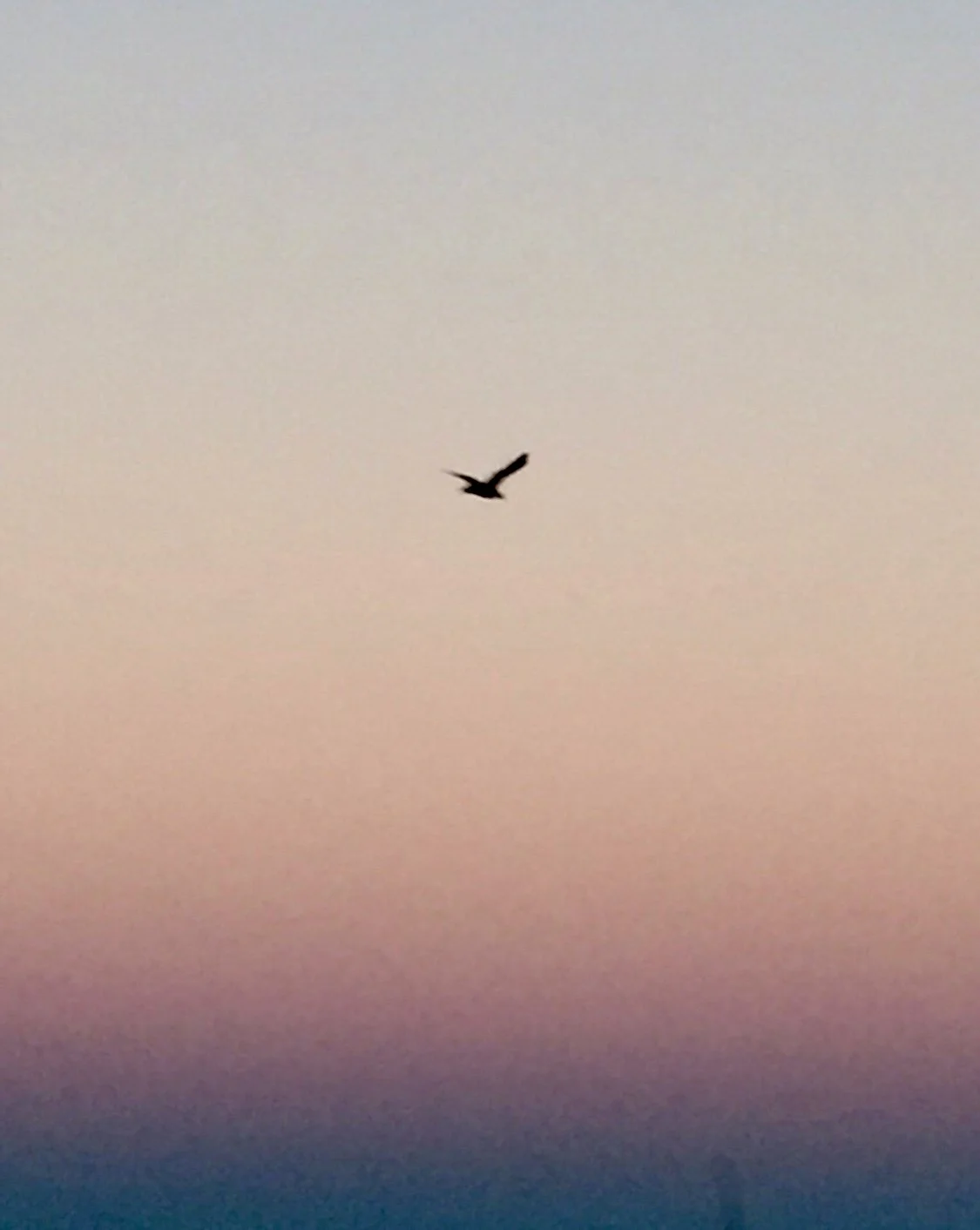 Lift Up