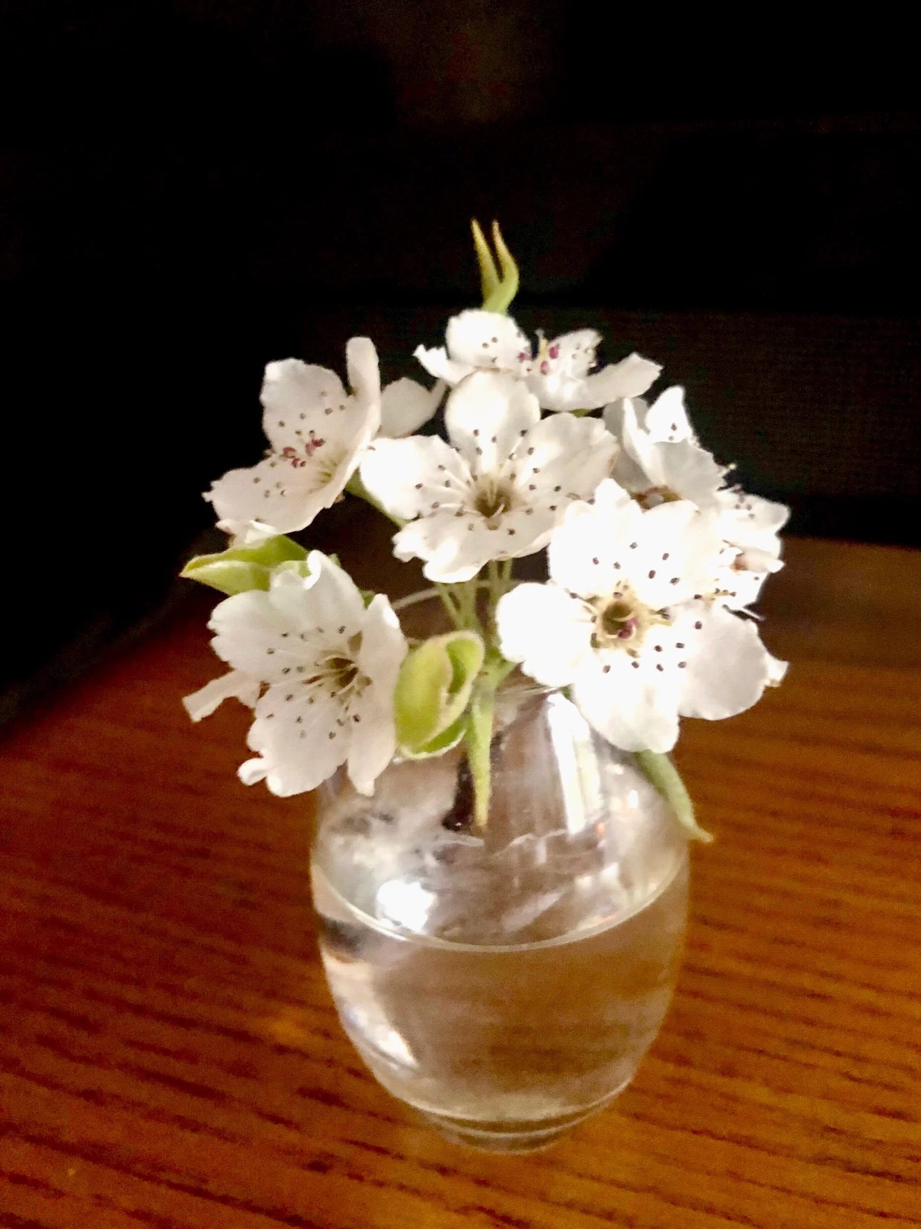 Finding simple Joy
