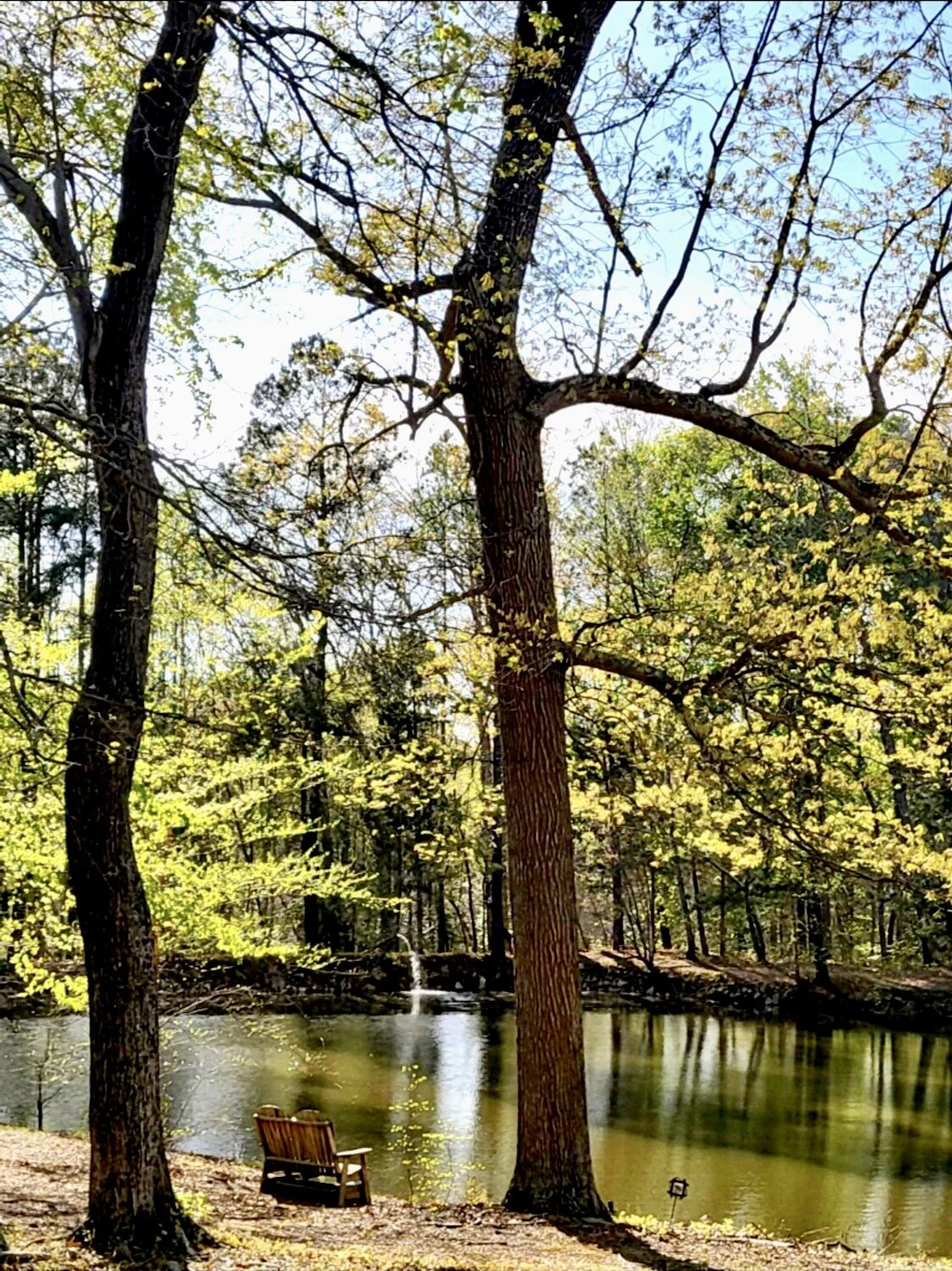 A Place to just Be- by Debbie Rackley