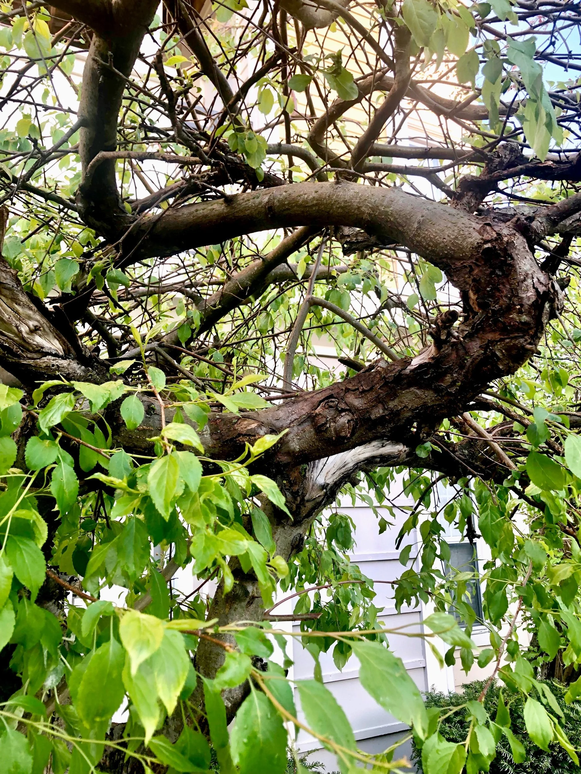 Twists and Turns