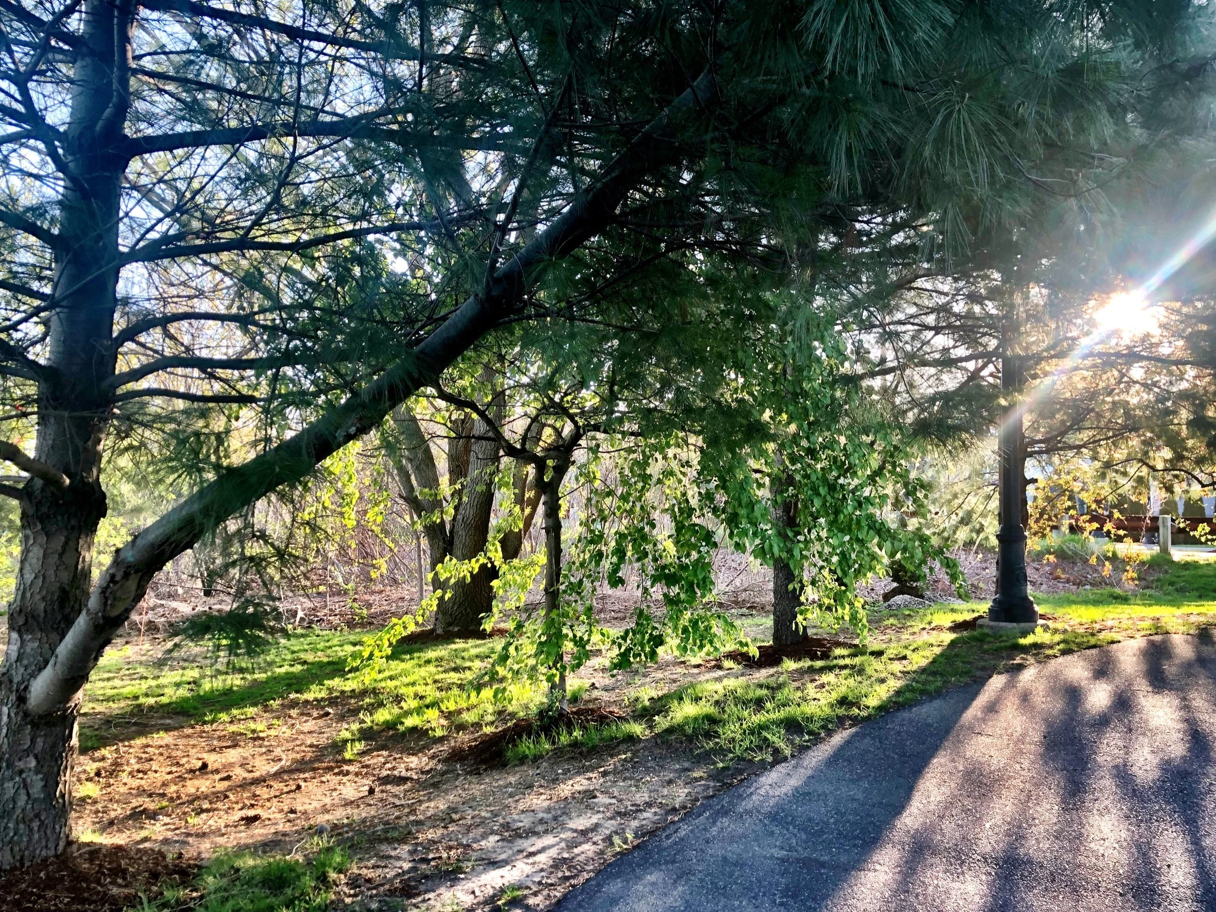 Ray of Light