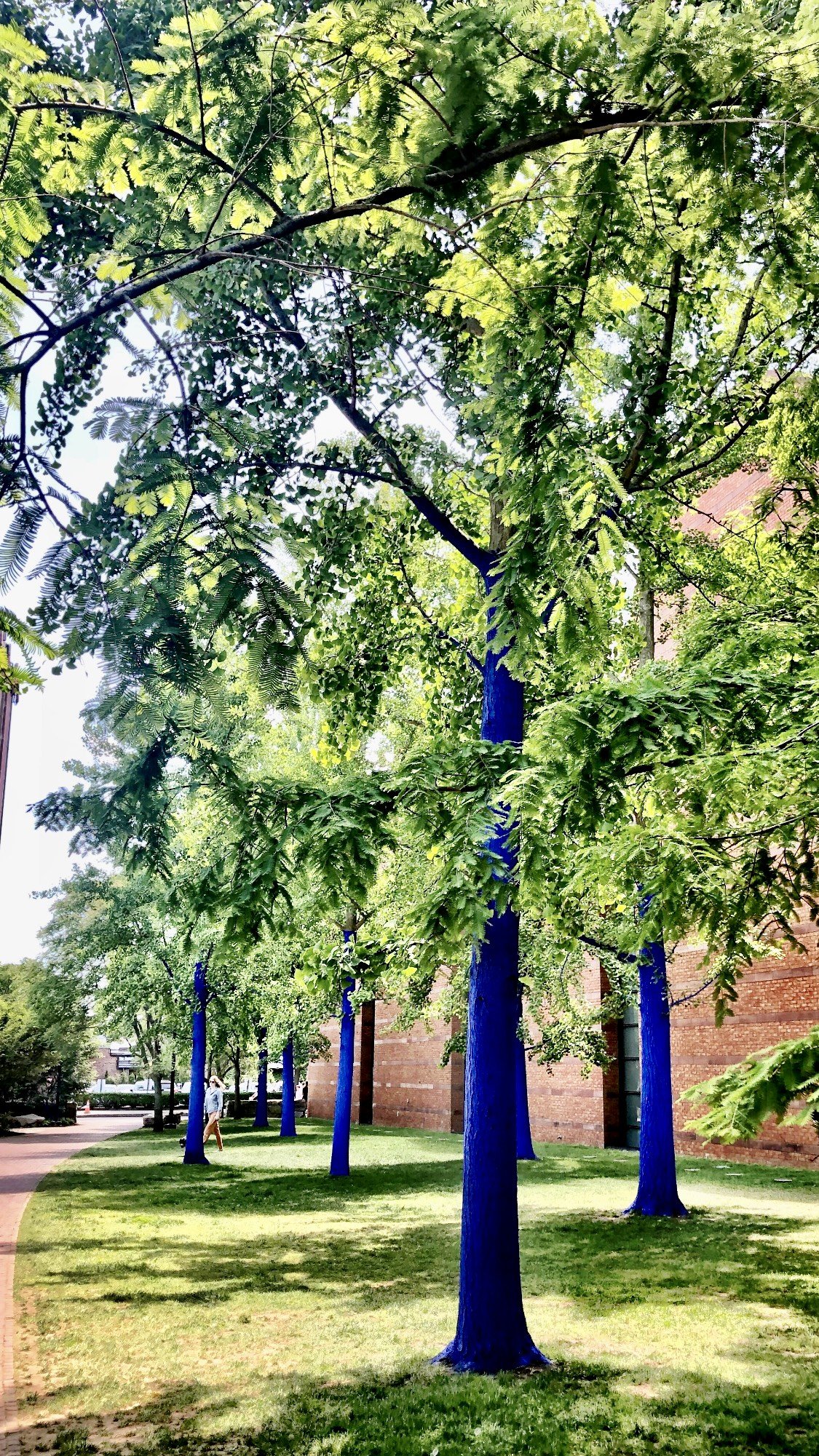 Blue Trees