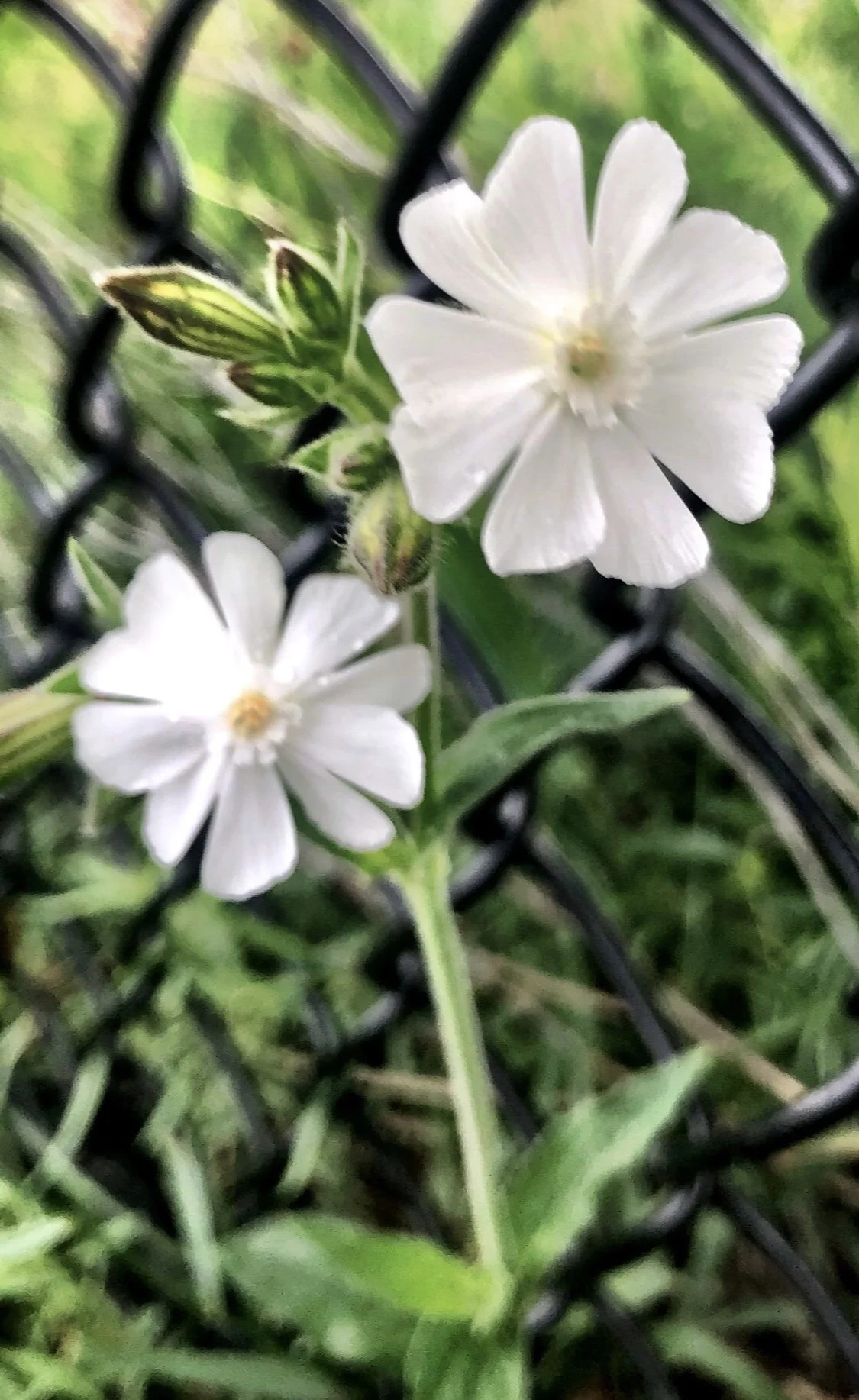 The Beauty of Nature