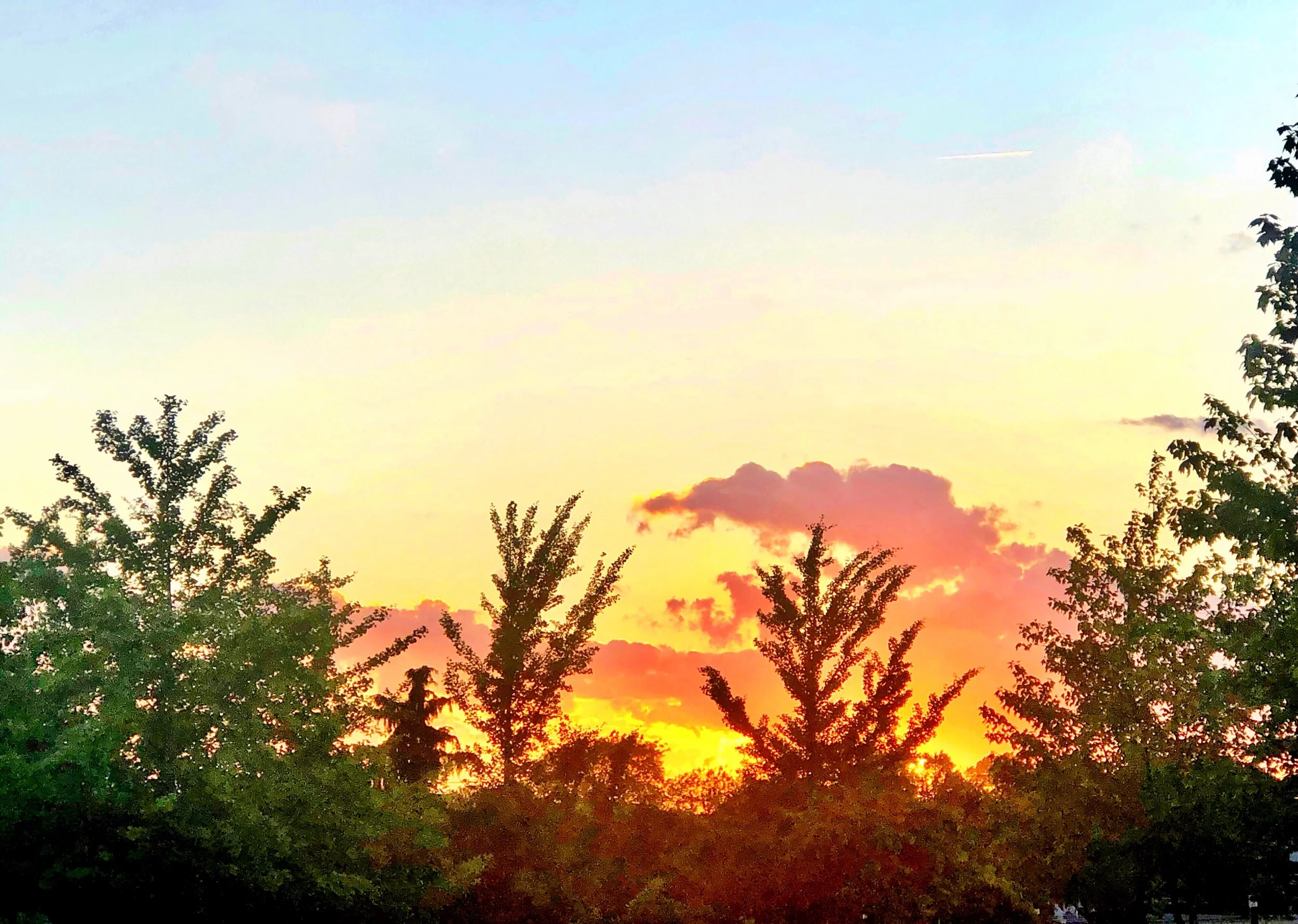 Exhale