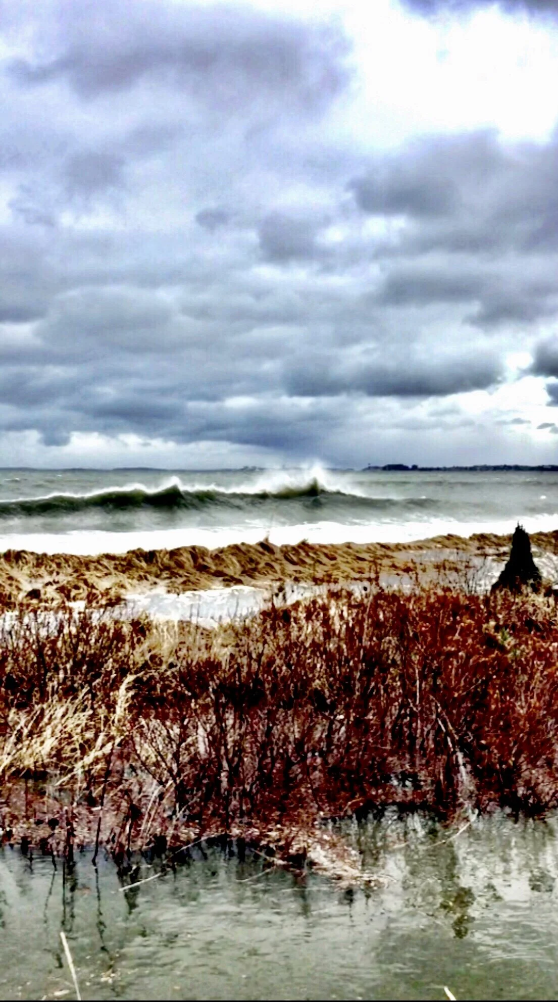 Storm