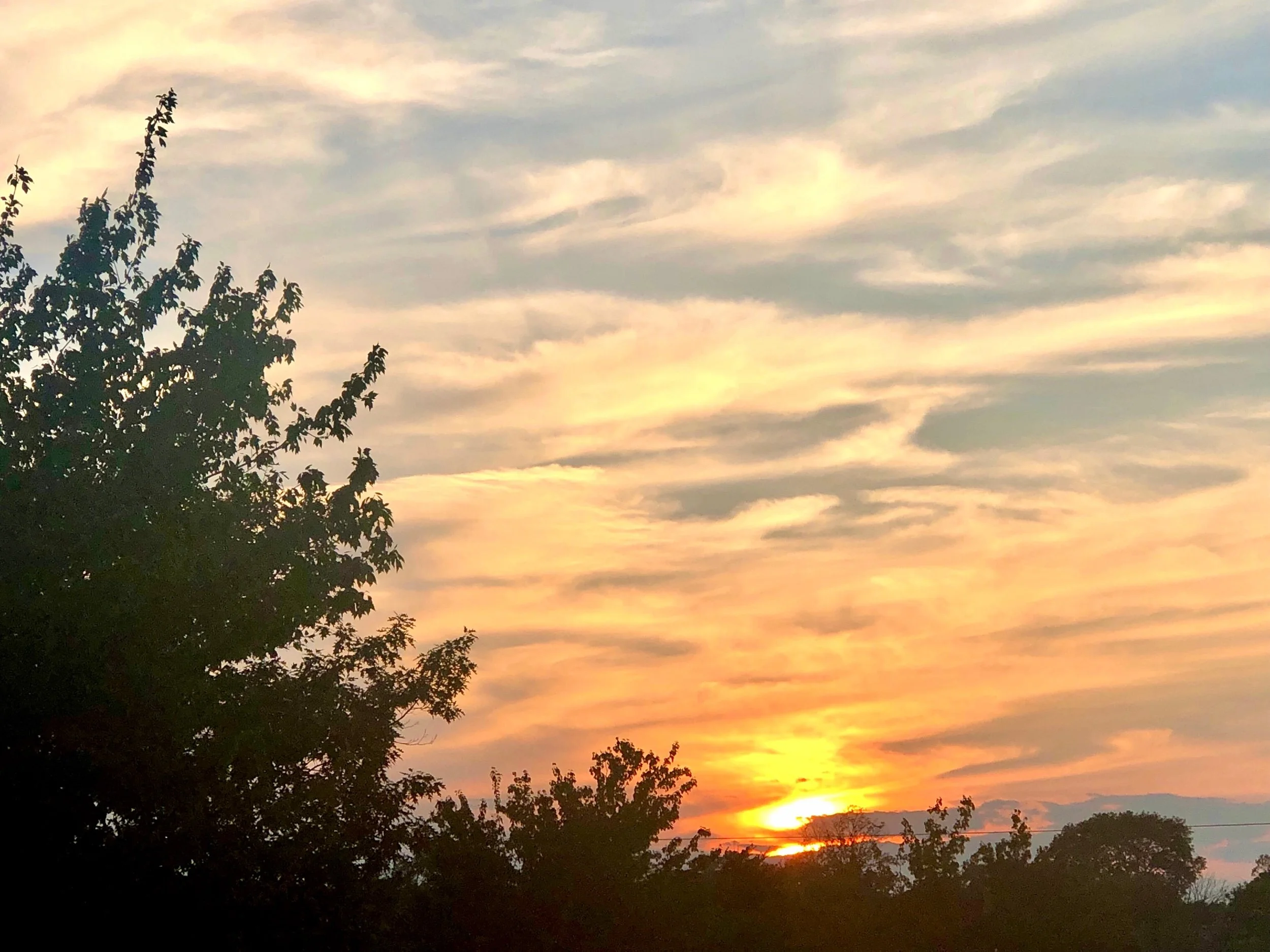 Look Up