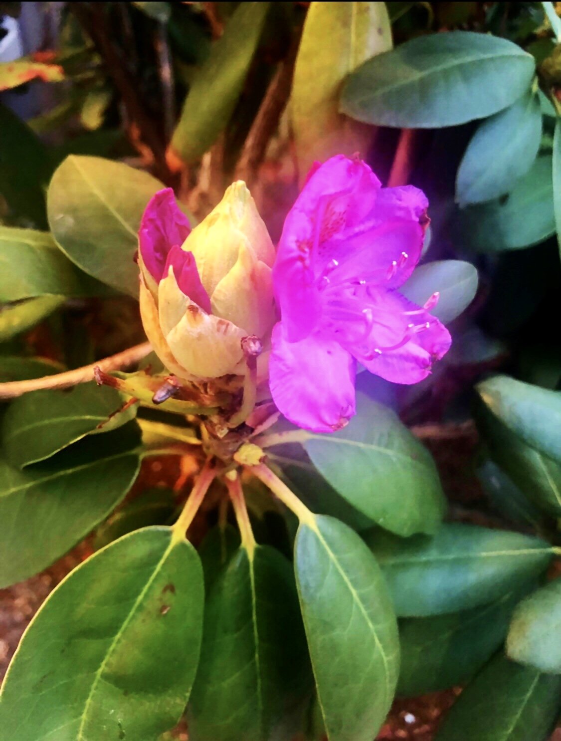 Feel Beauty