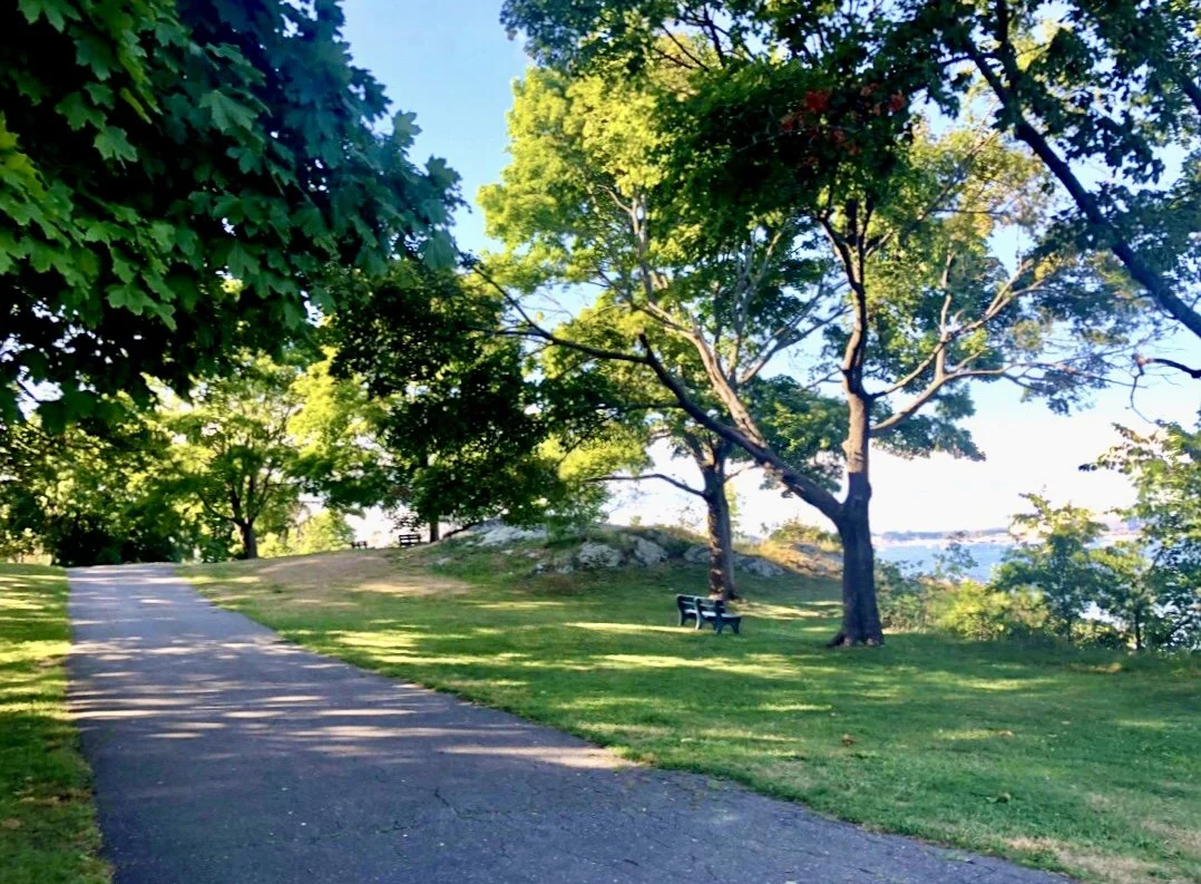 Path