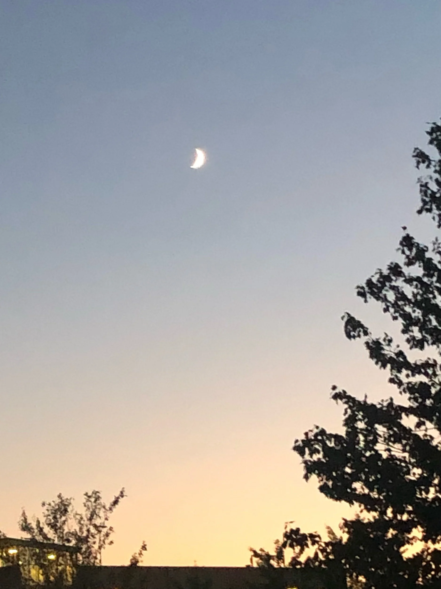 Lift toward the Sky- a poem