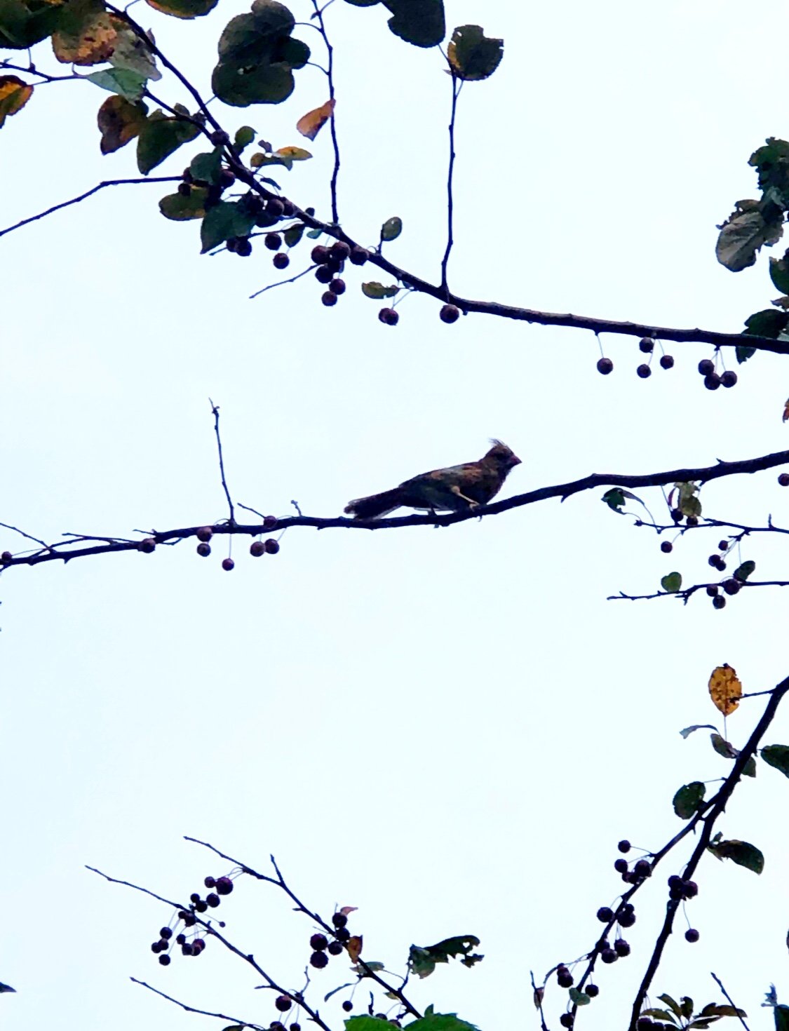 A Visitor