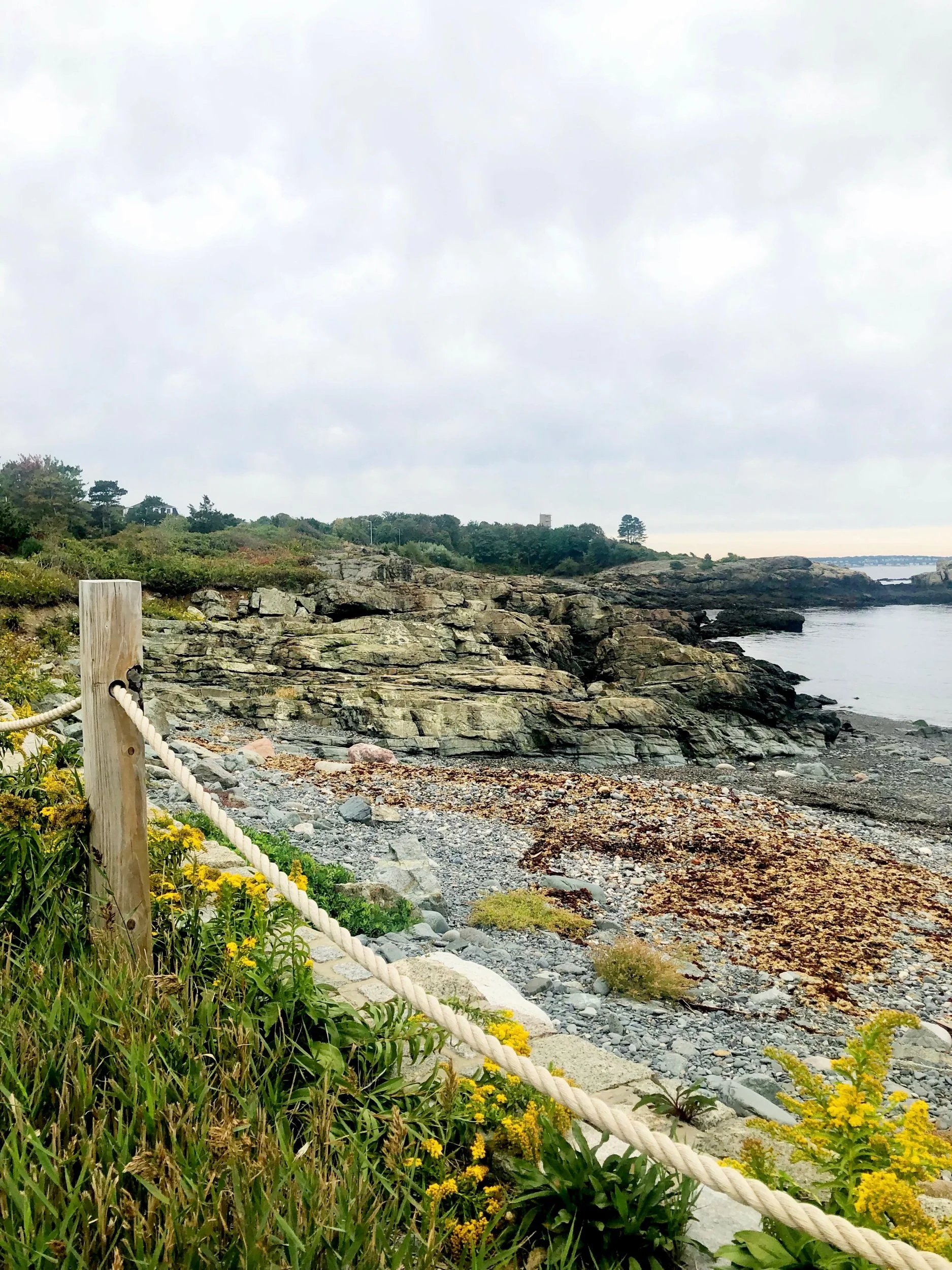 Peaceful Shoreline