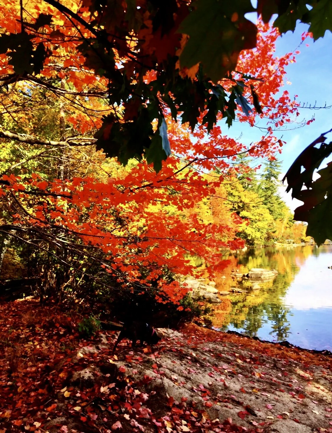 Season’s Palette
