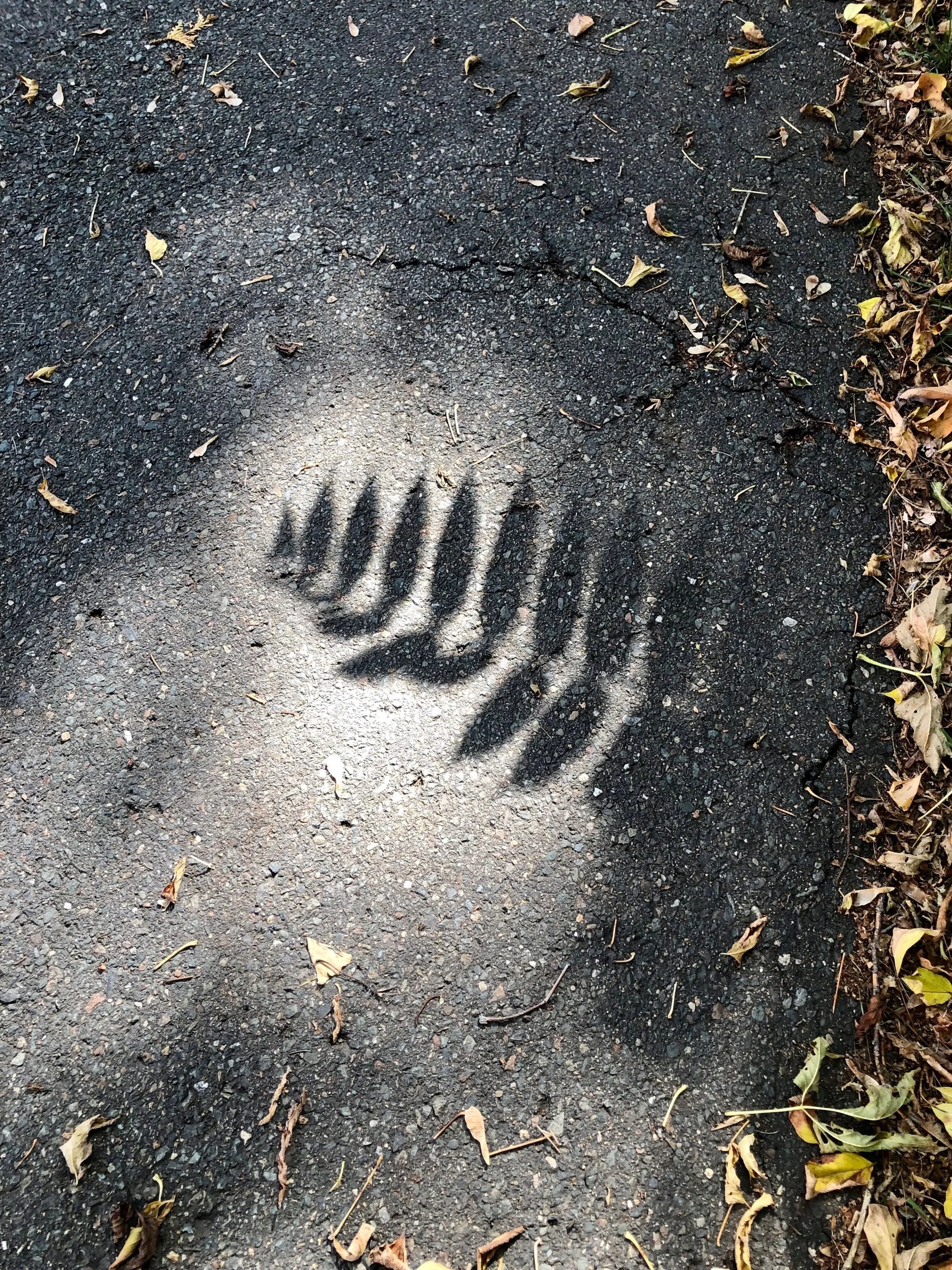 Life, as it Comes- a poem
