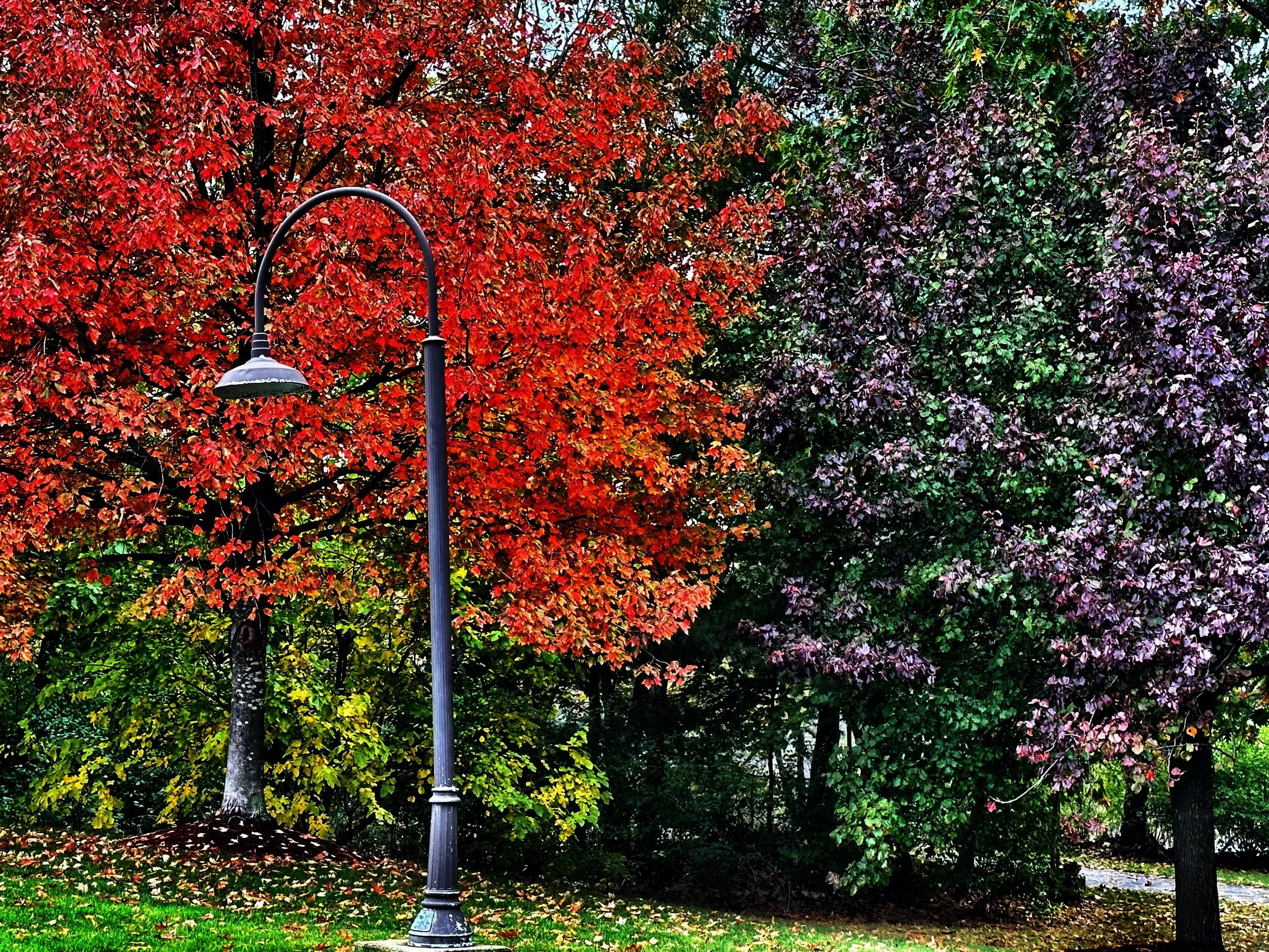 Blended Colors