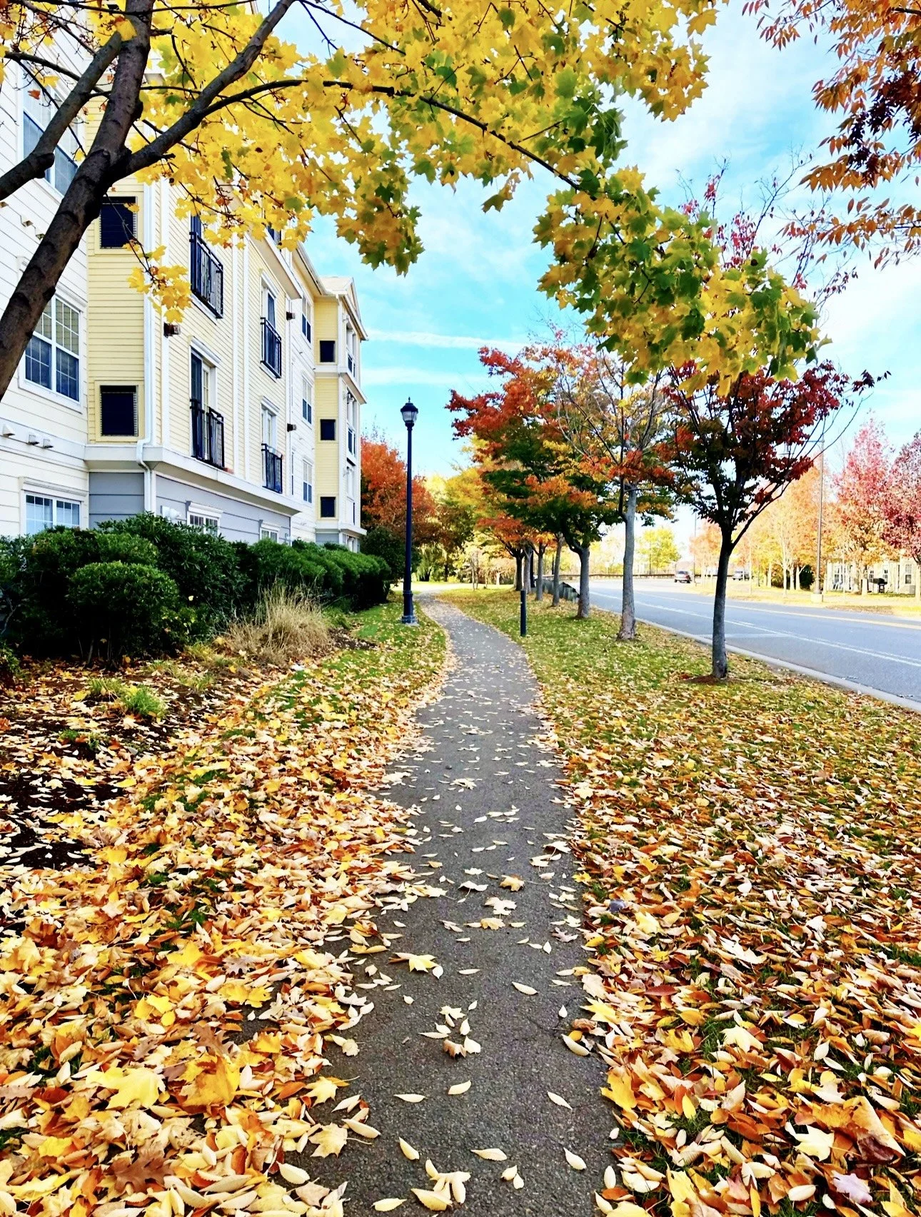 Your Path