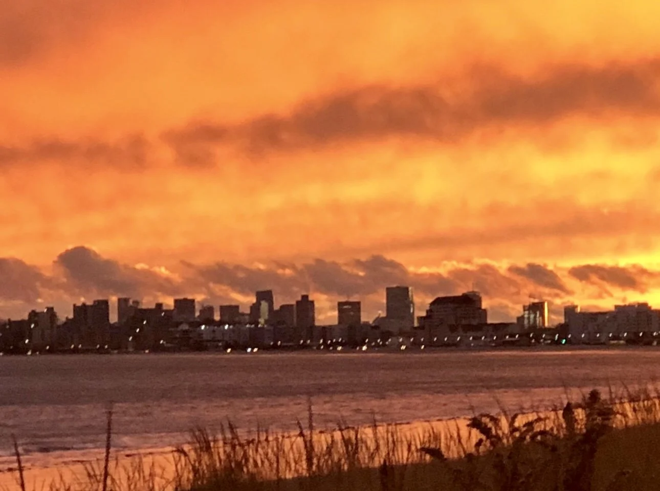 Sunset Beauty 