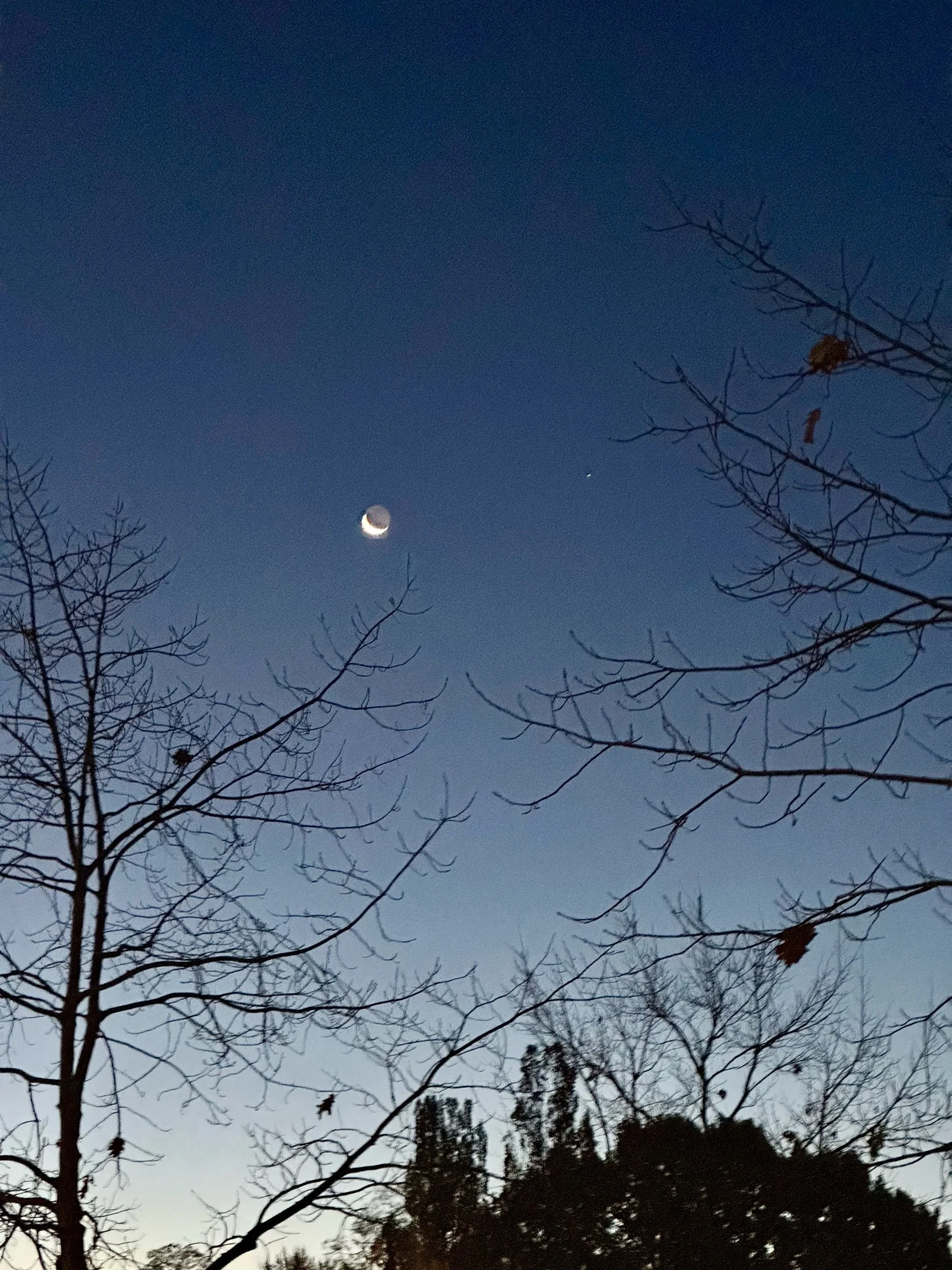The Moon