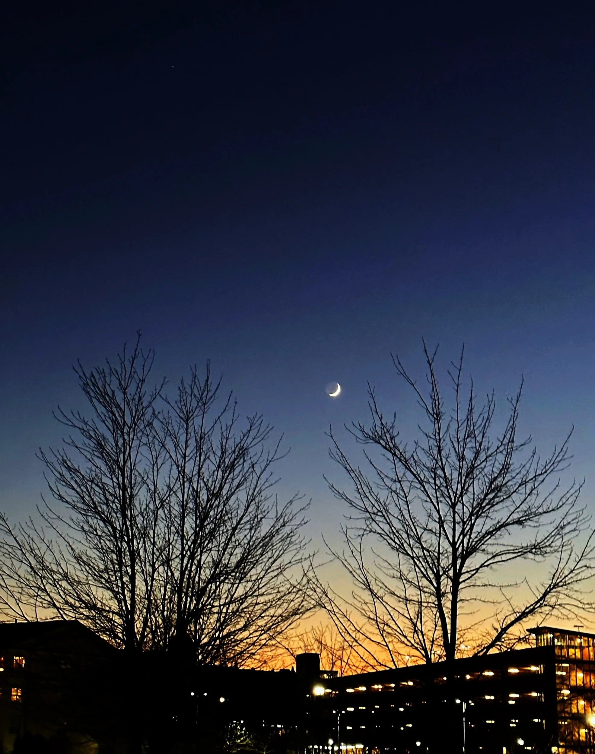 Christmas Night Moon