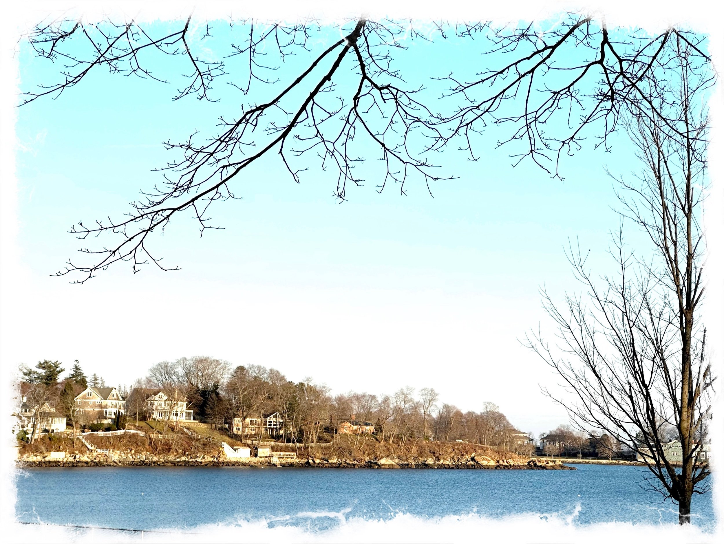 Peaceful View