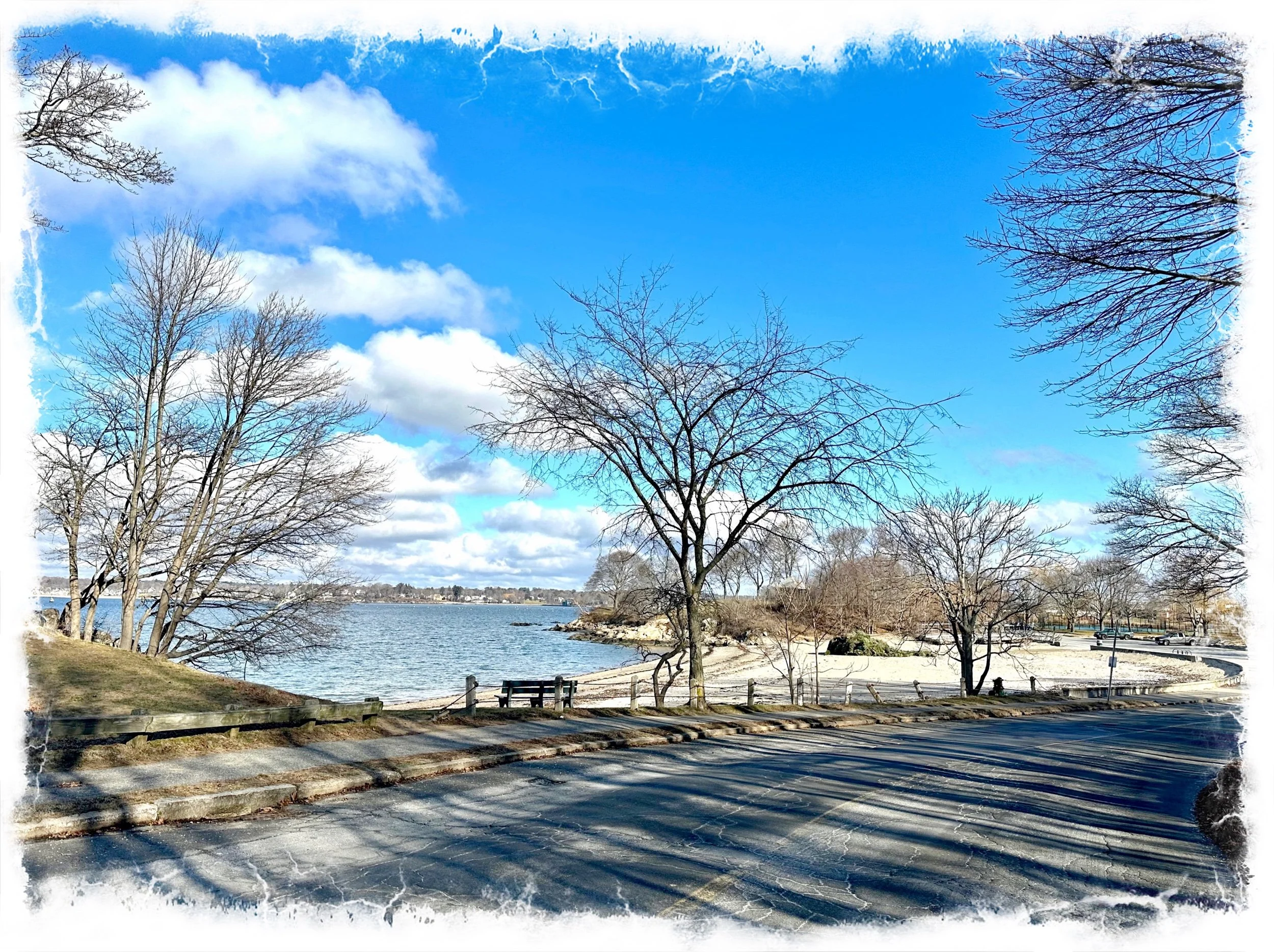 Salem Willows