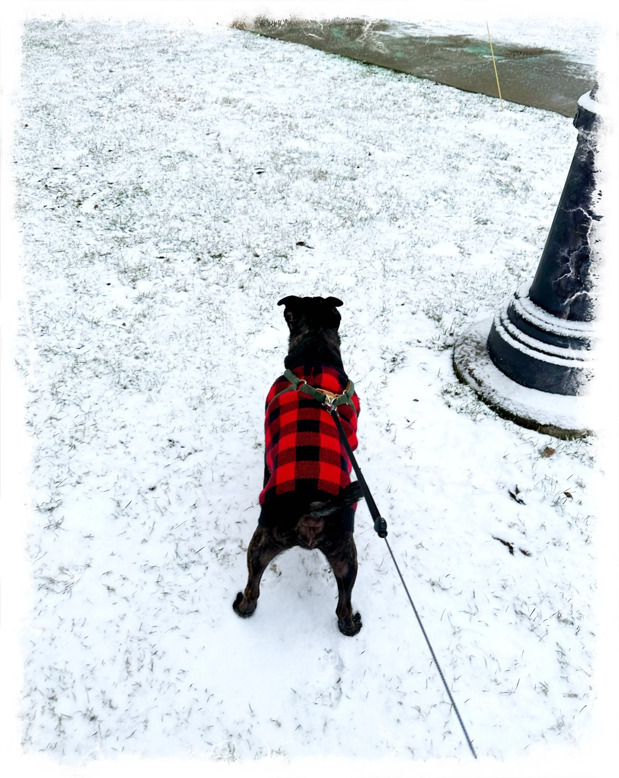 “Snow Day”