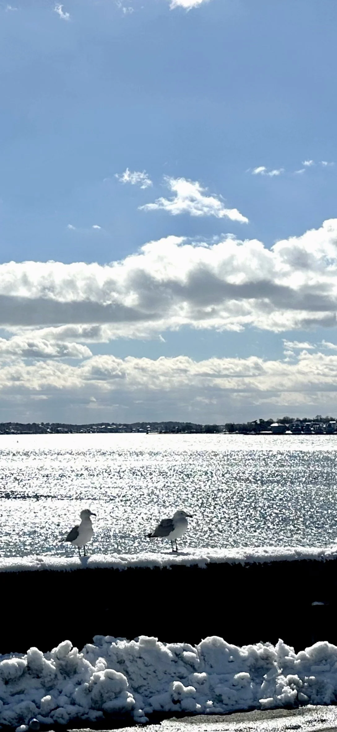Our Conversation- a poem in honor of Moma during her dementia years