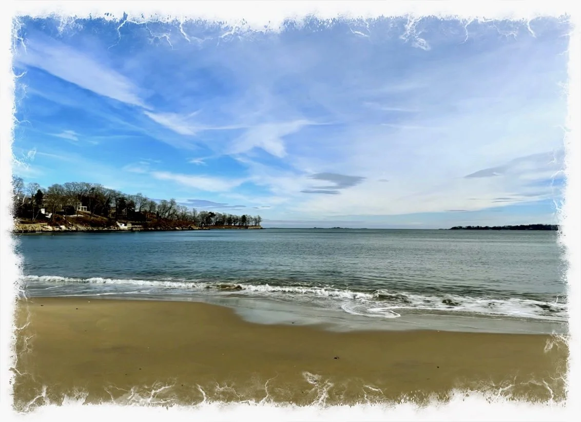 Life in View- a poem