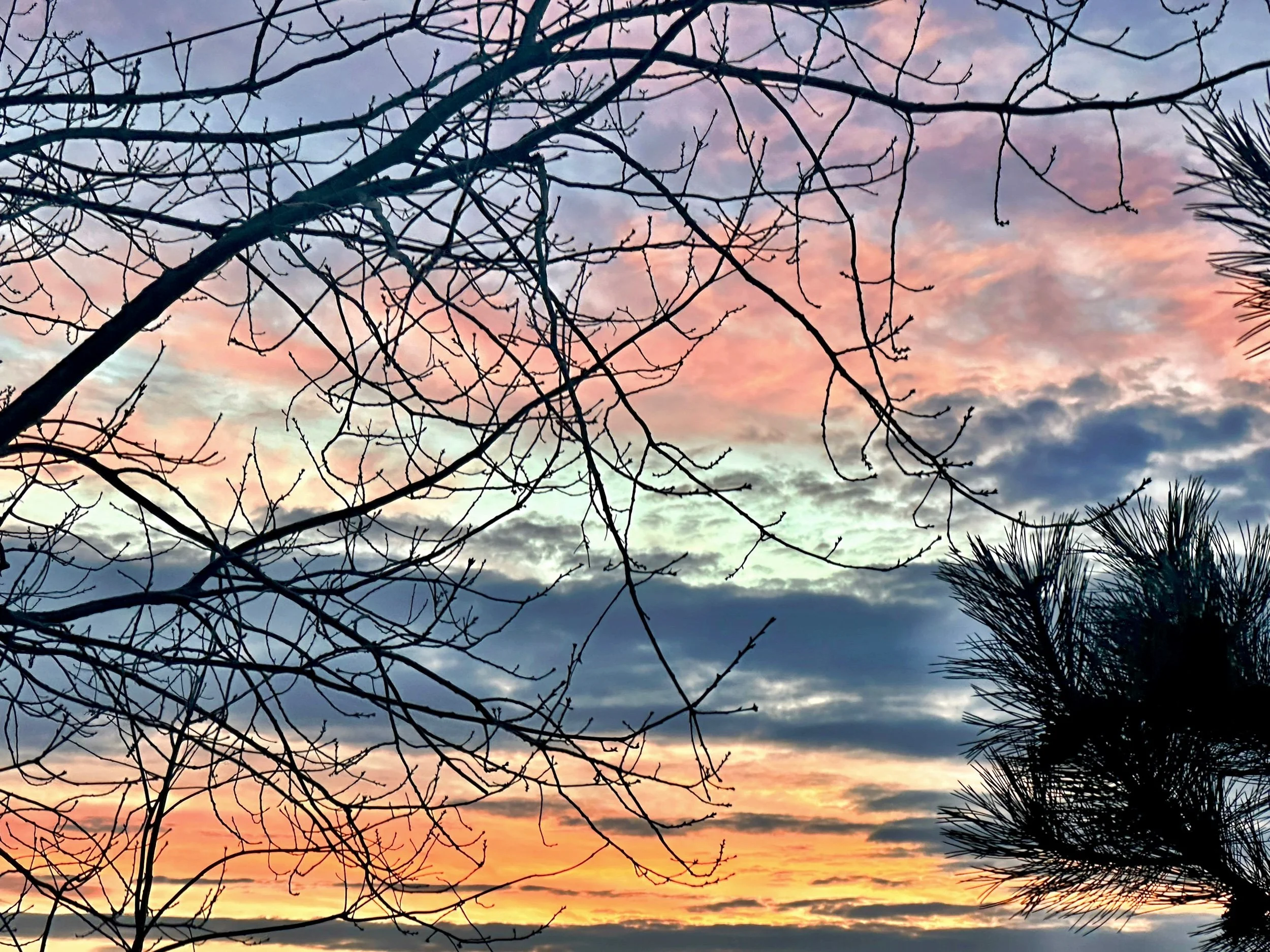 New Day