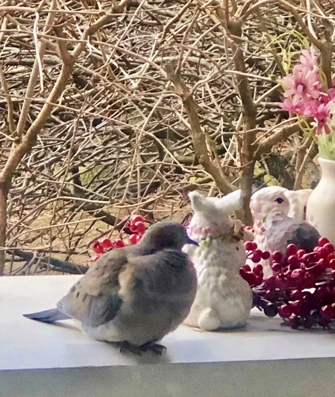 Springtime