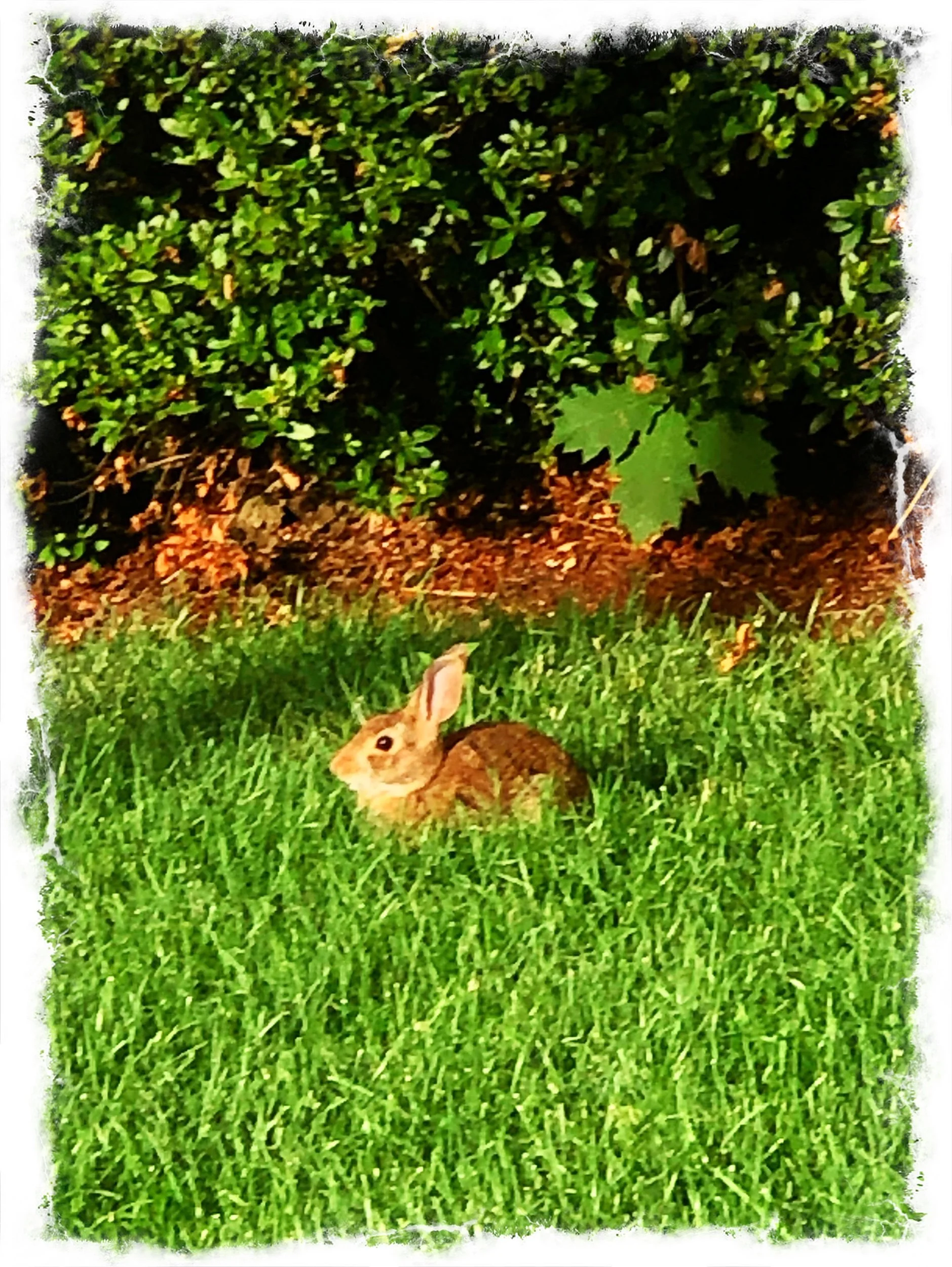 Easter Blessings