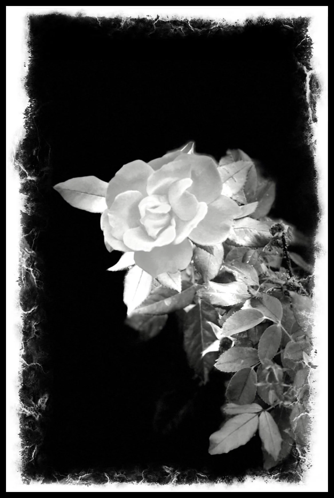 Love- a poem