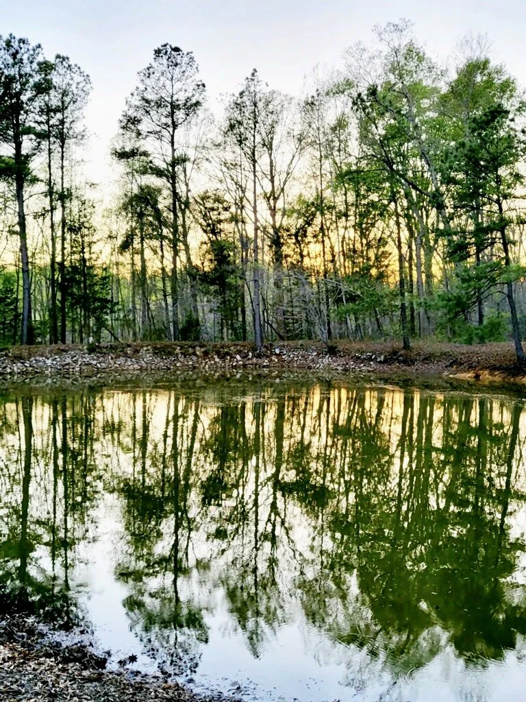Reflections