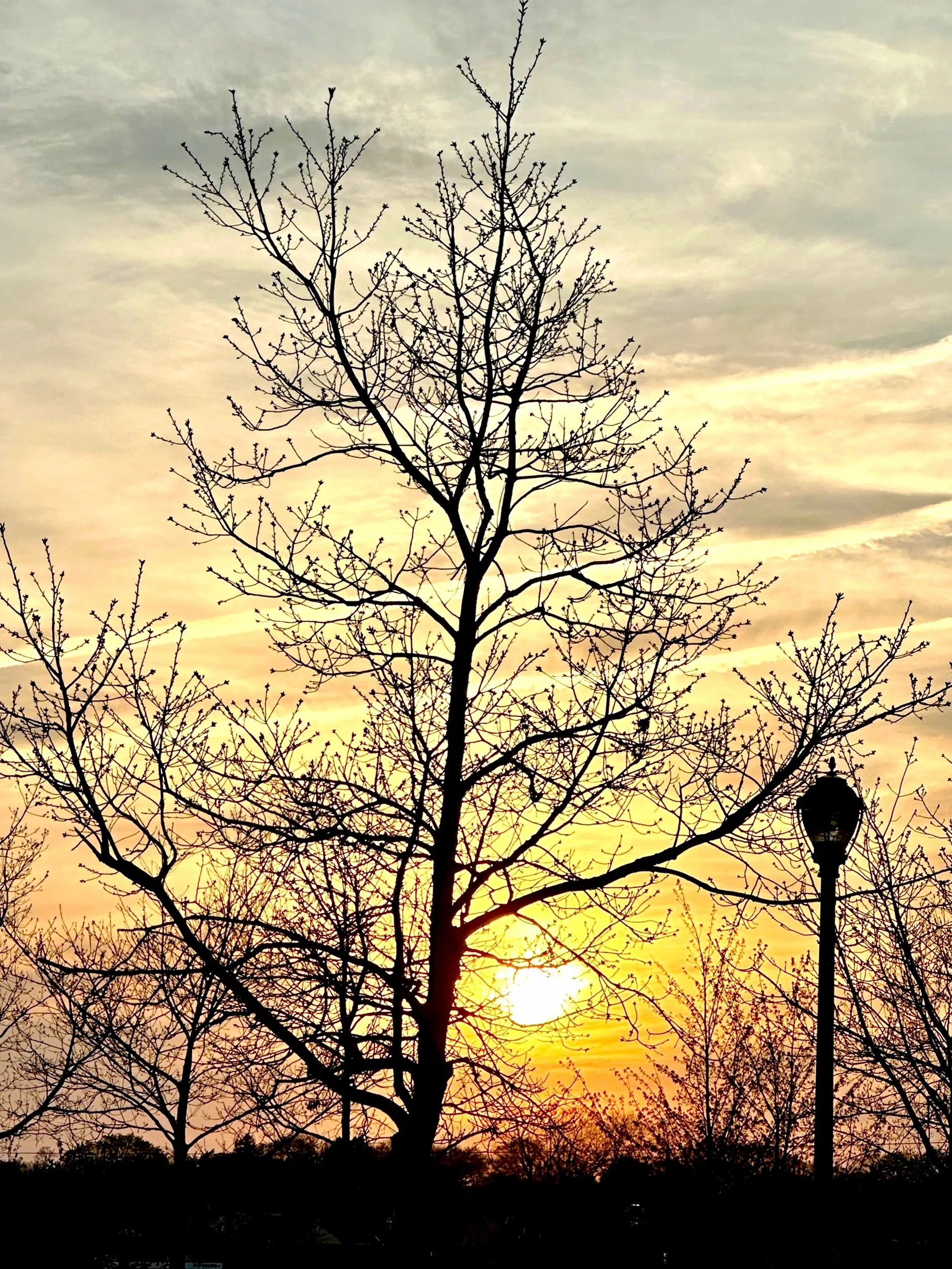 Sunsets
