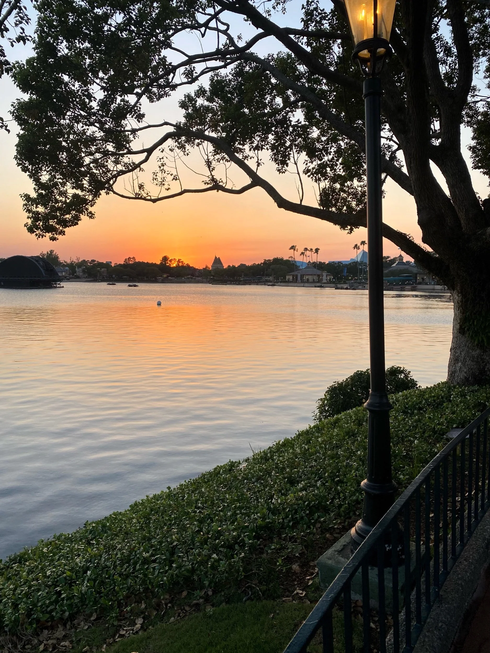 Magical Sunset