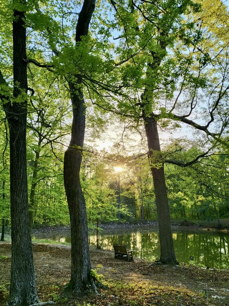 Laddie’s Pond