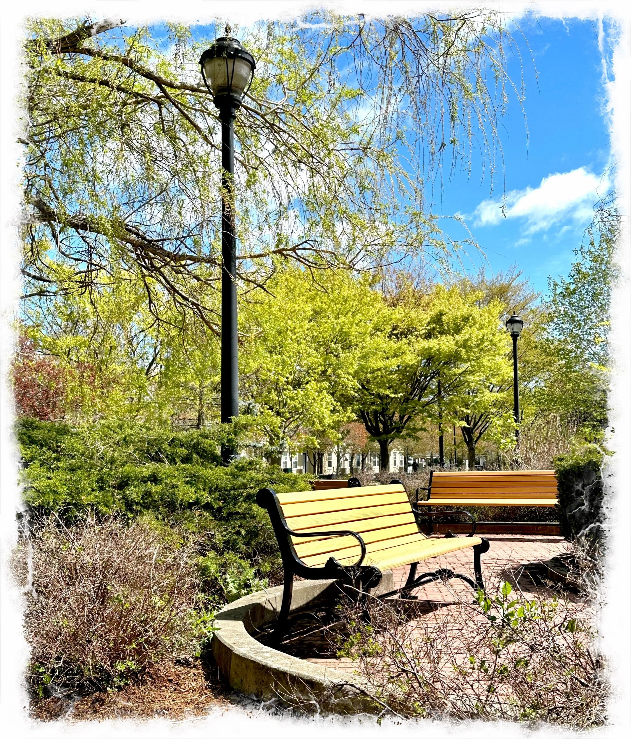 The Bench- a poem